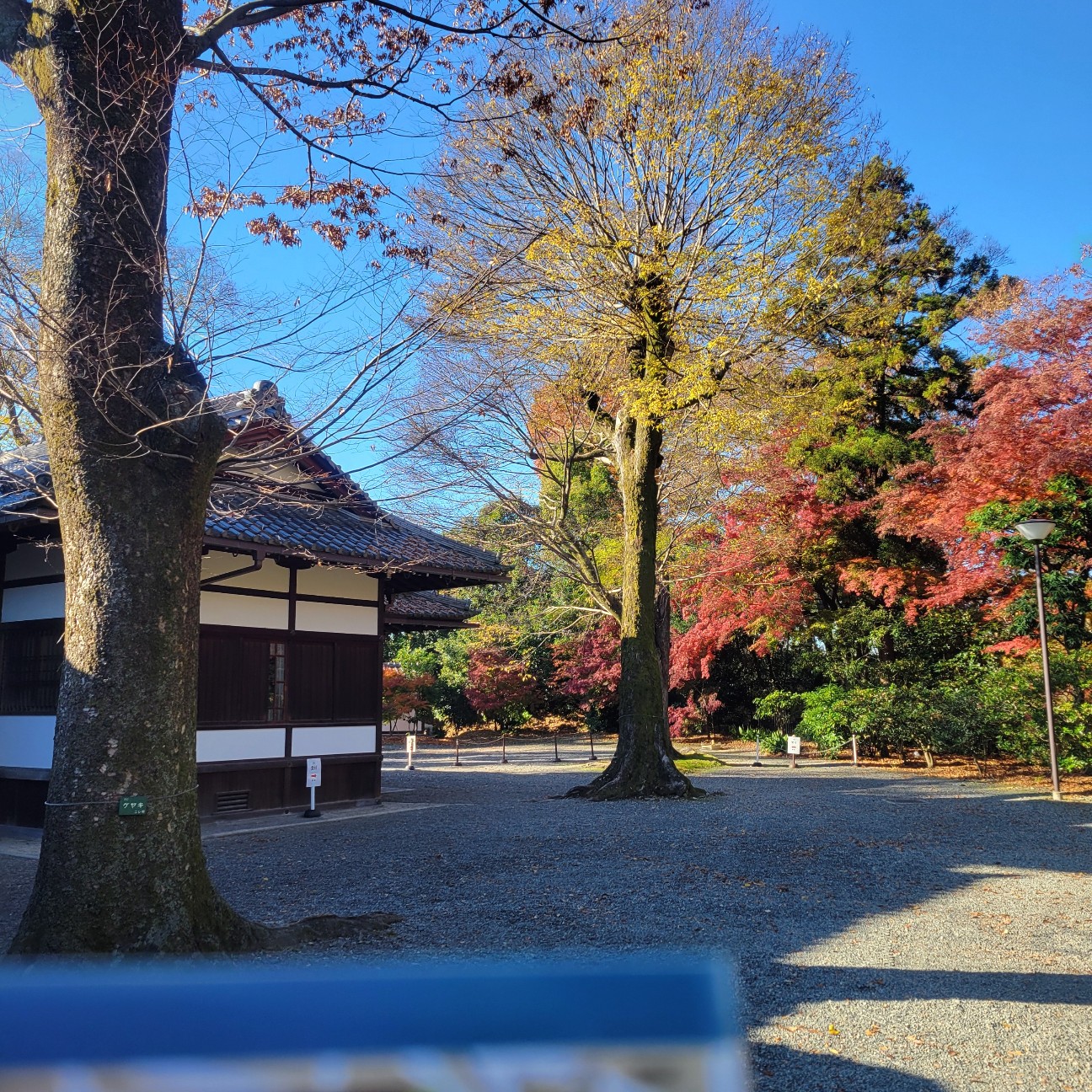 f:id:atoriatoriatori:20260112101534j:image
