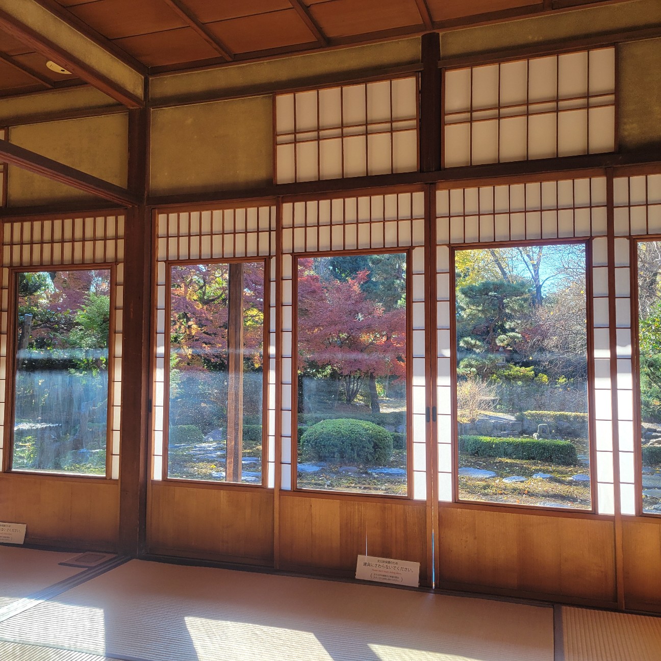 f:id:atoriatoriatori:20260113083058j:image