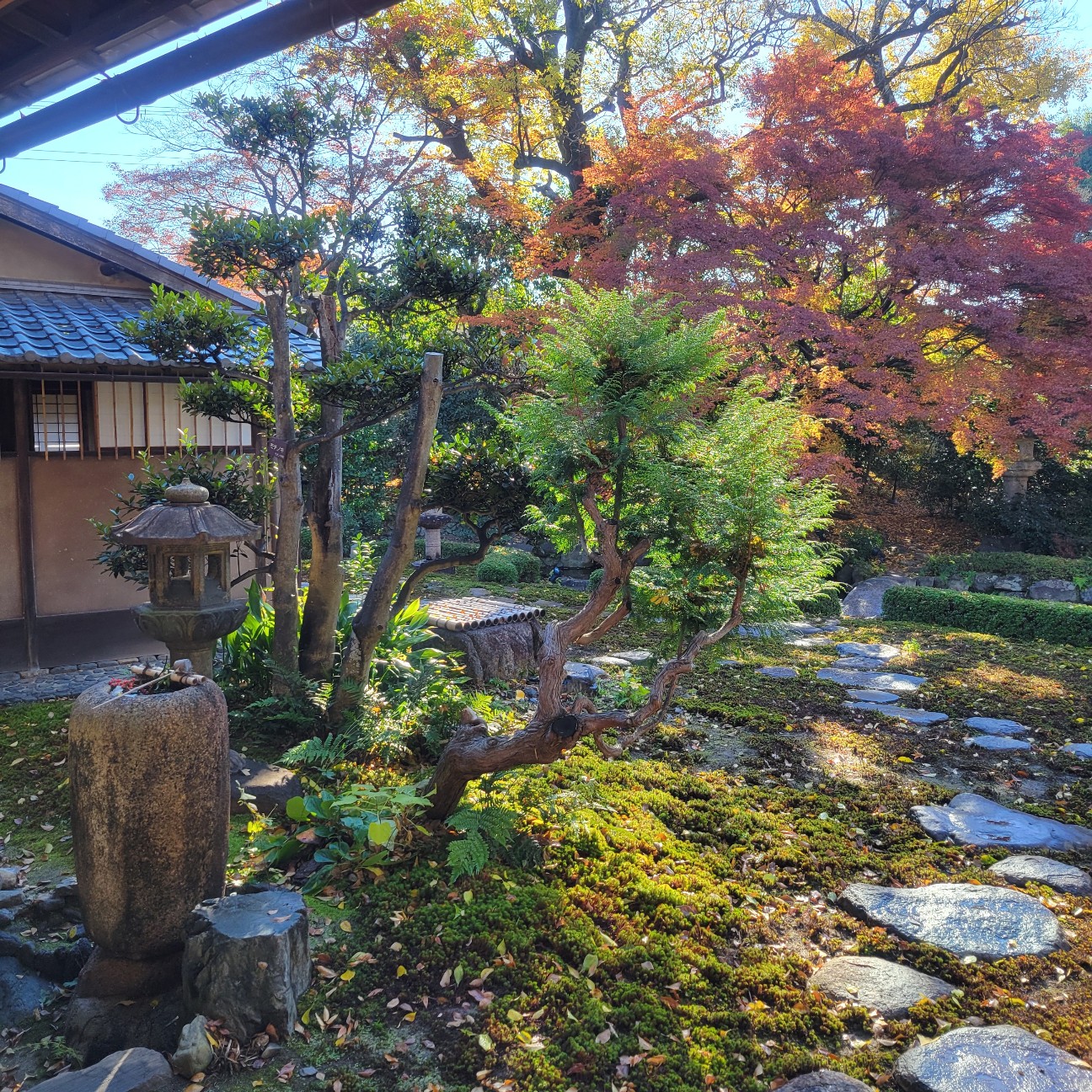 f:id:atoriatoriatori:20260113084537j:image