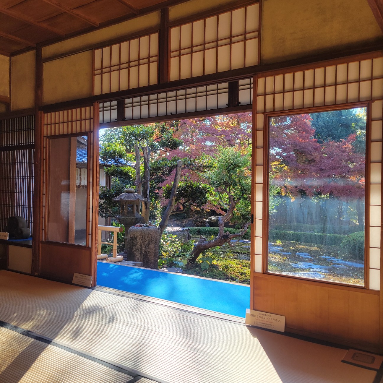 f:id:atoriatoriatori:20260113095706j:image