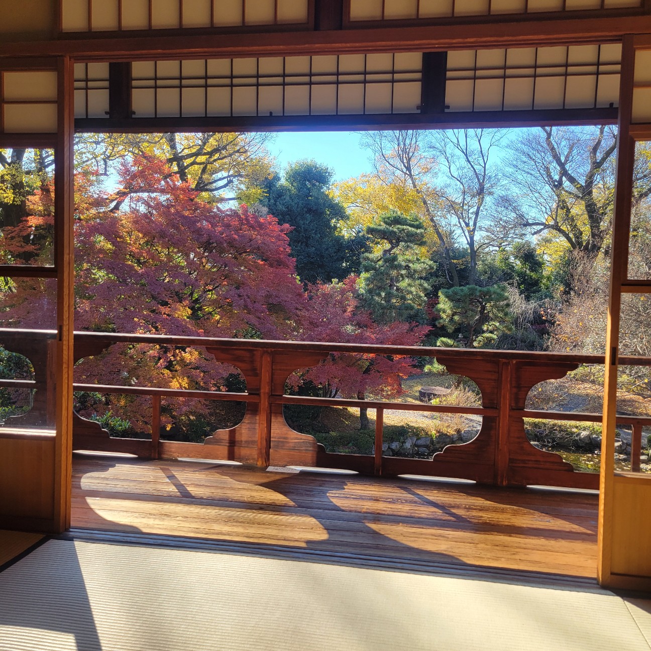 f:id:atoriatoriatori:20260113100240j:image