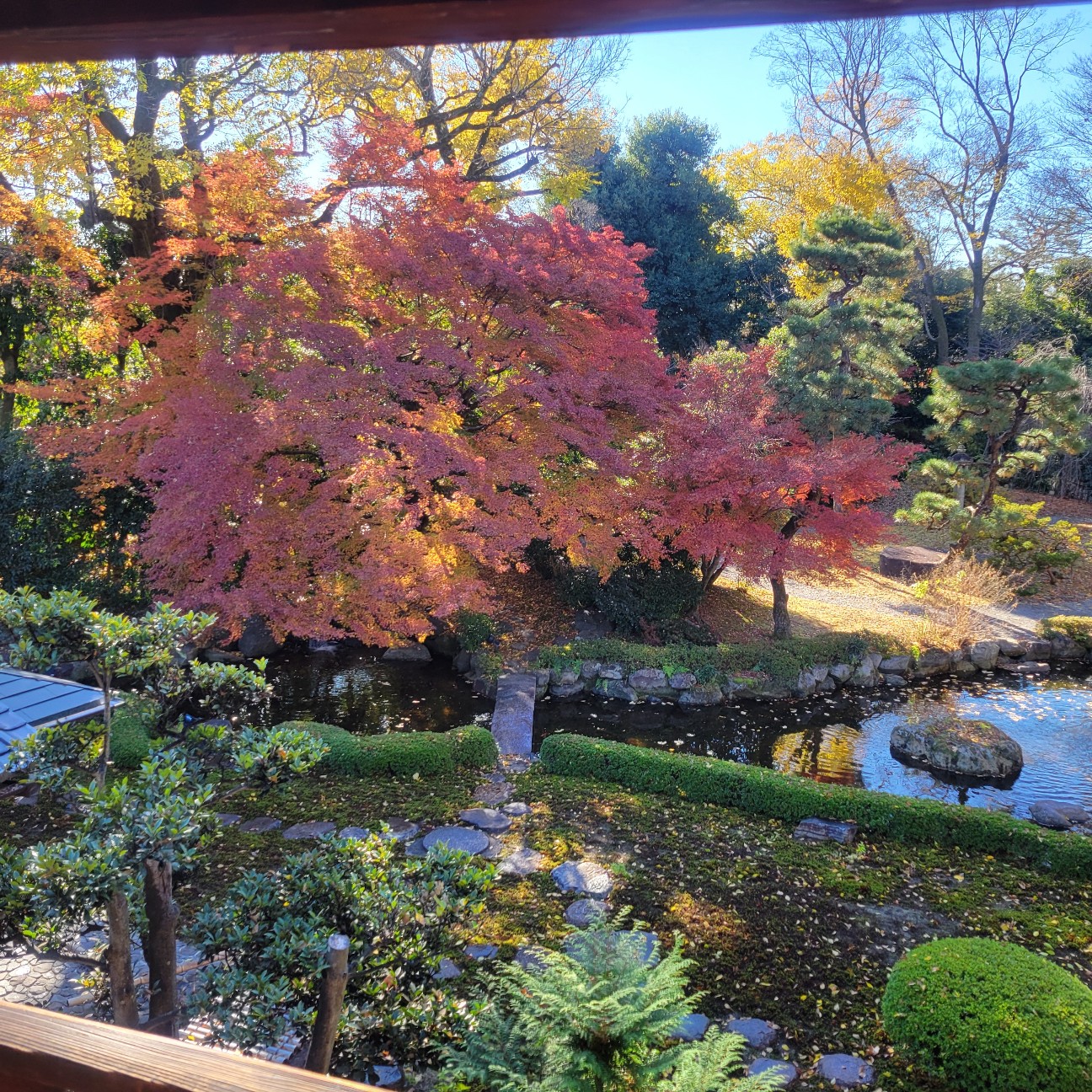 f:id:atoriatoriatori:20260113100248j:image