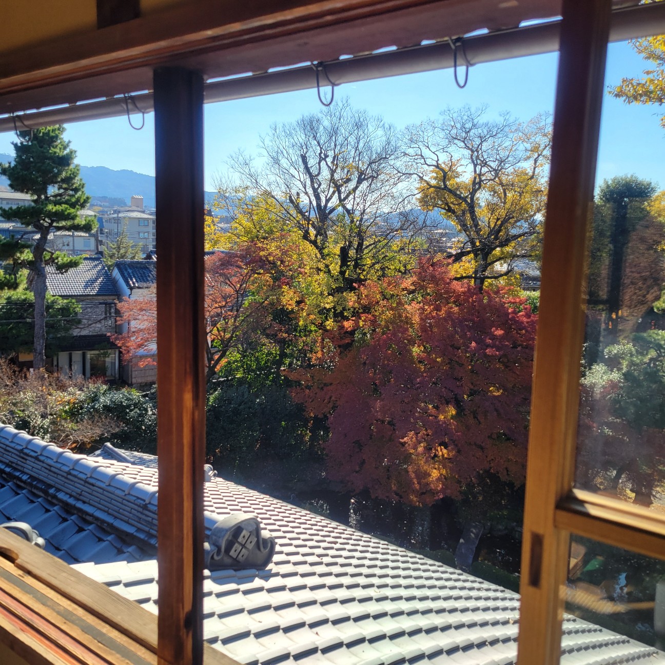 f:id:atoriatoriatori:20260113110619j:image