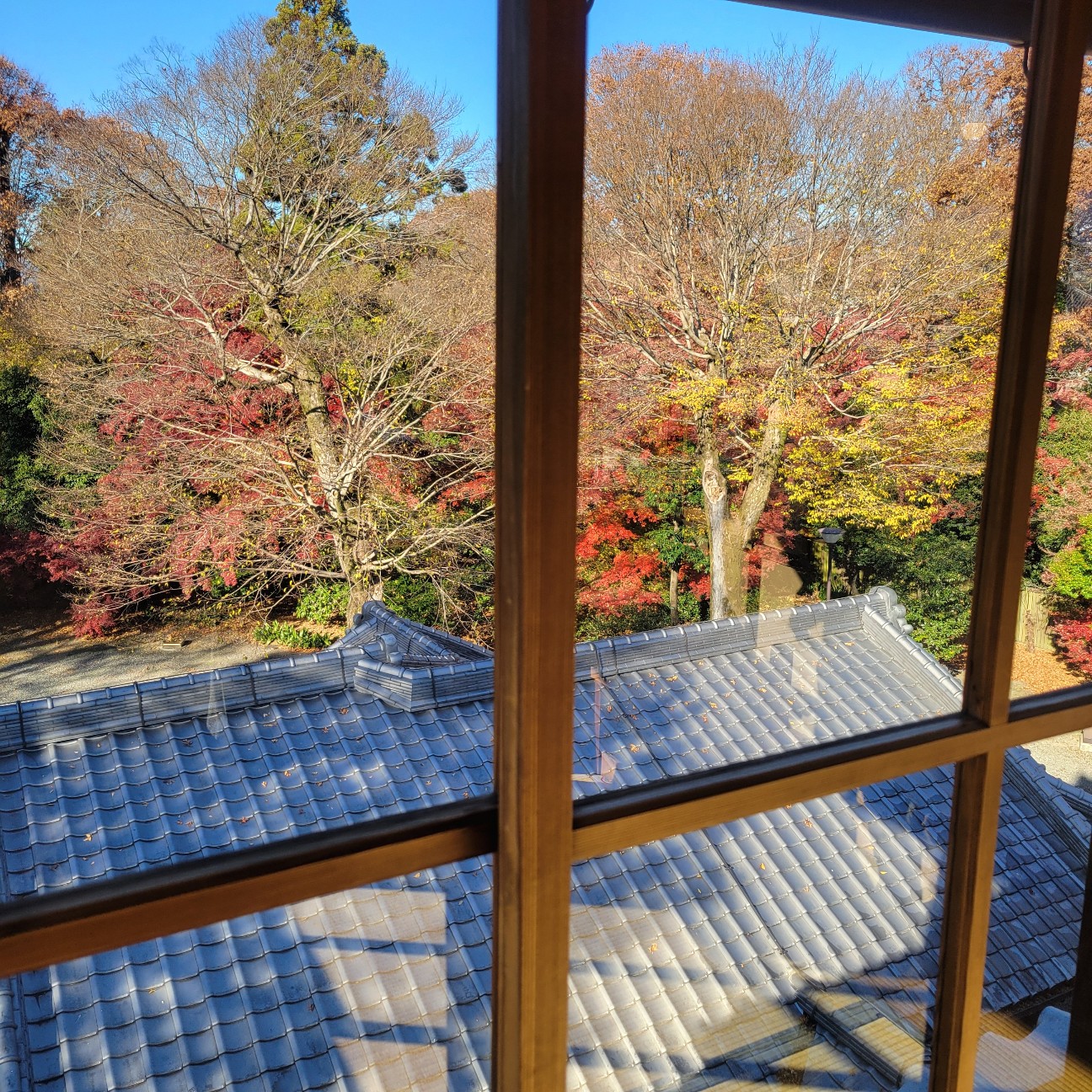 f:id:atoriatoriatori:20260113110631j:image