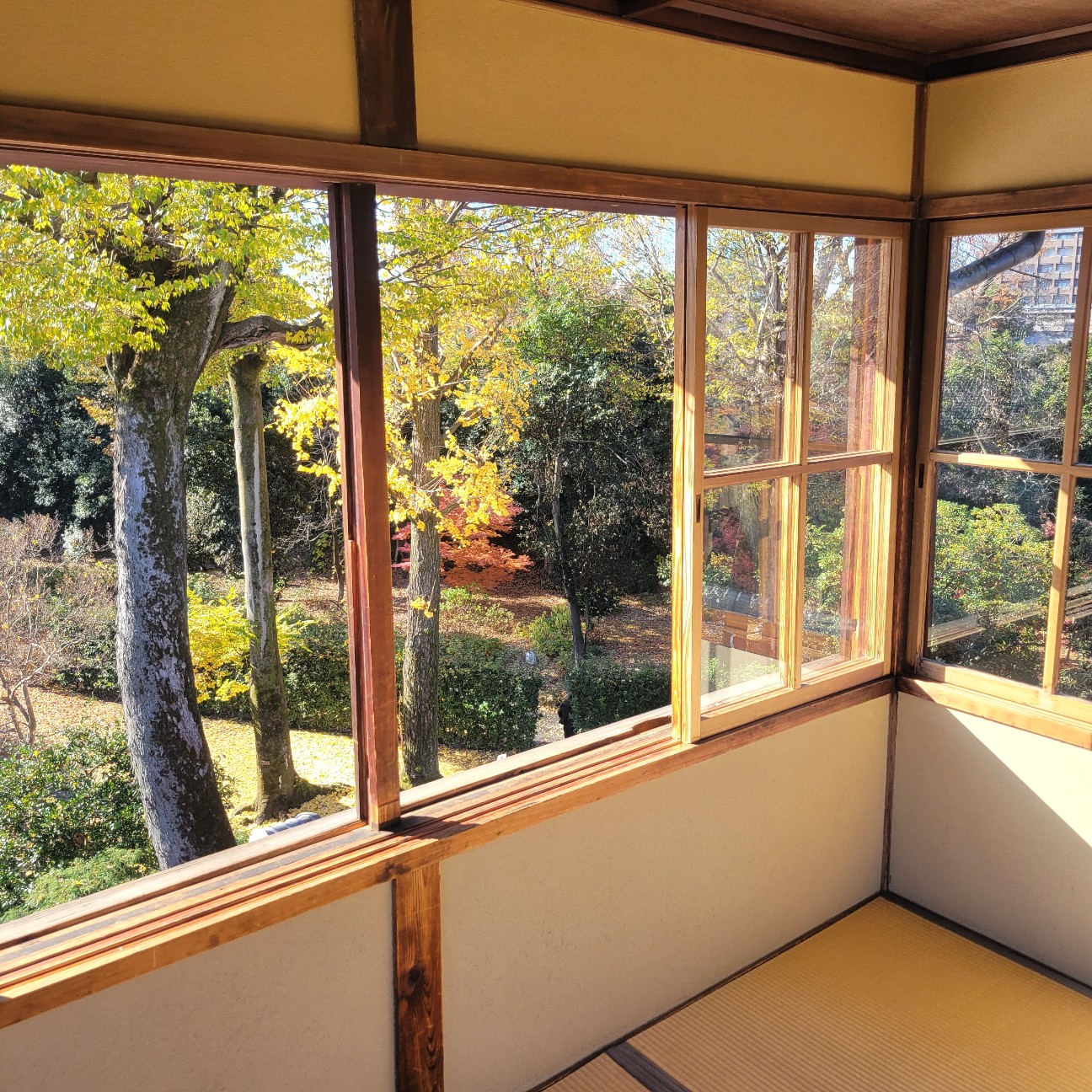 f:id:atoriatoriatori:20260113123023j:image