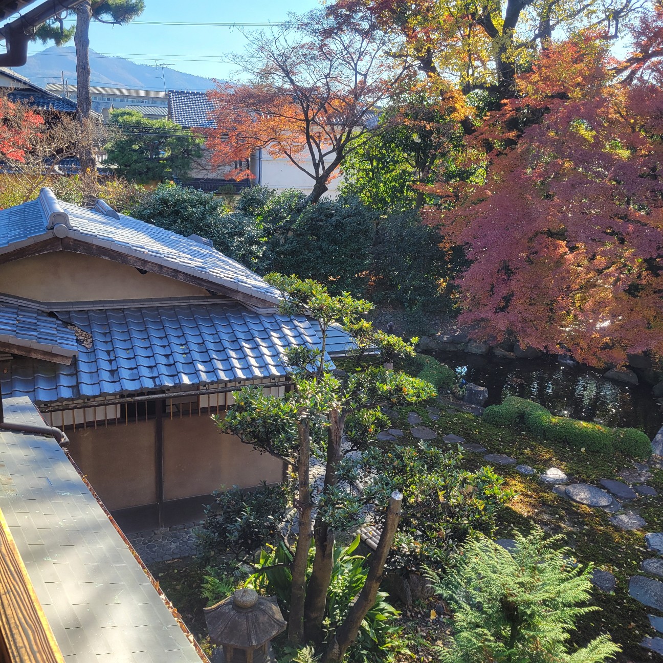 f:id:atoriatoriatori:20260113123315j:image