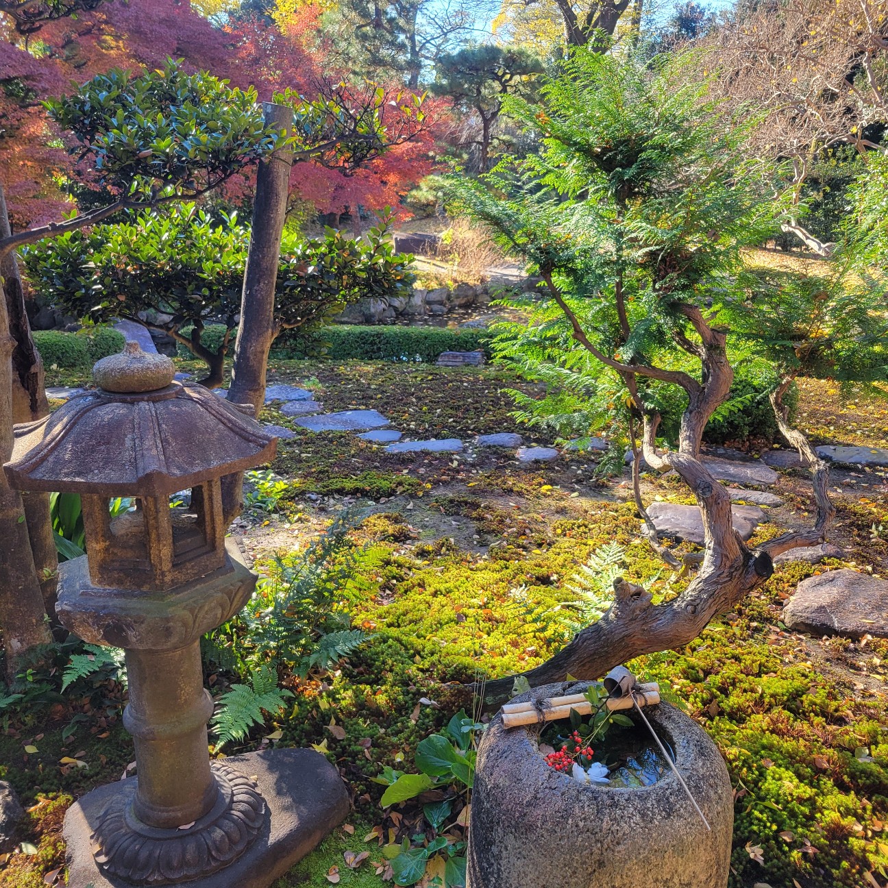 f:id:atoriatoriatori:20260113133553j:image
