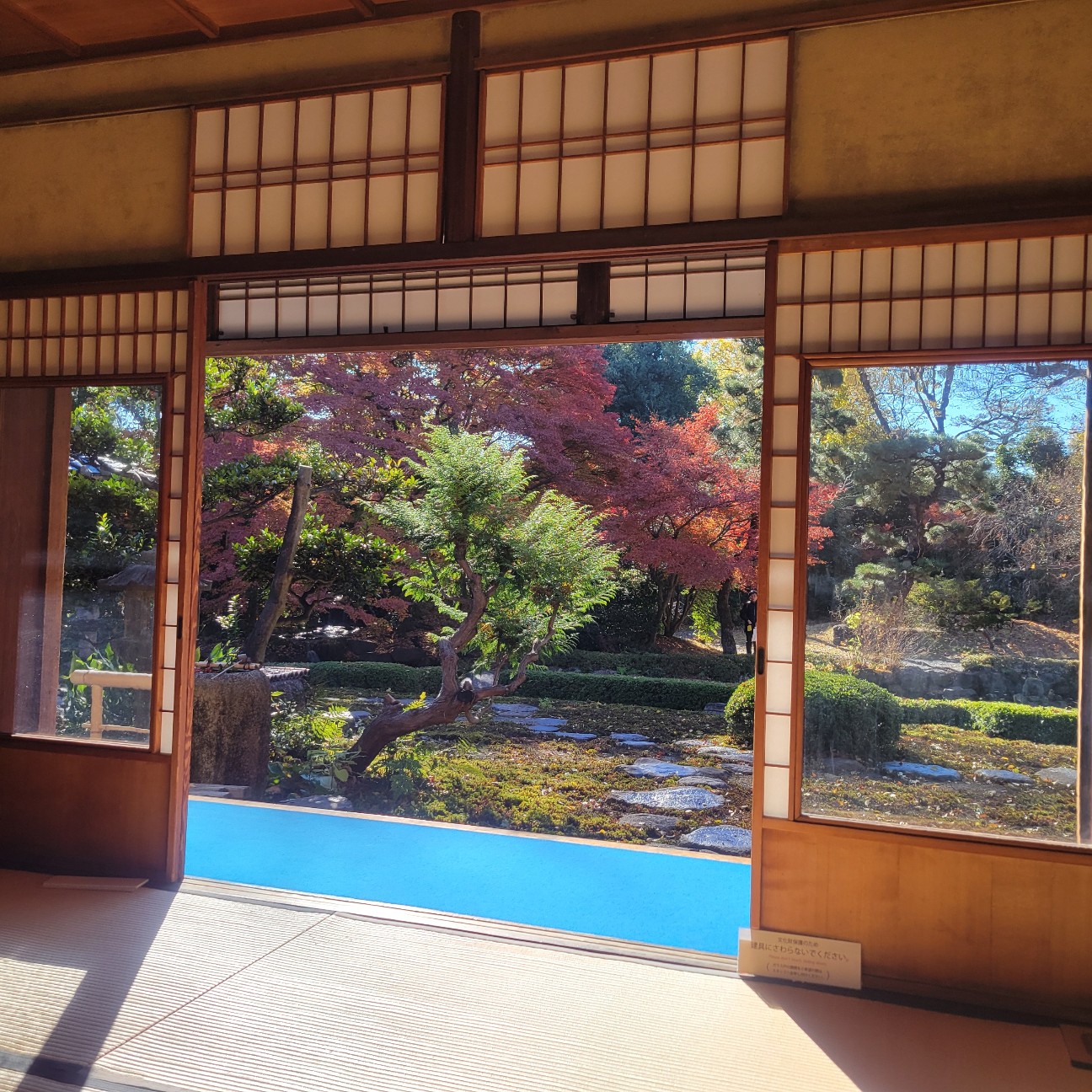 f:id:atoriatoriatori:20260113133937j:image