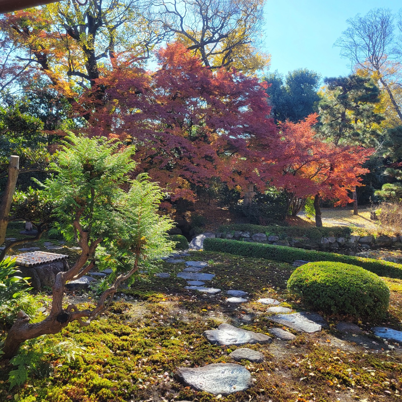 f:id:atoriatoriatori:20260113134132j:image