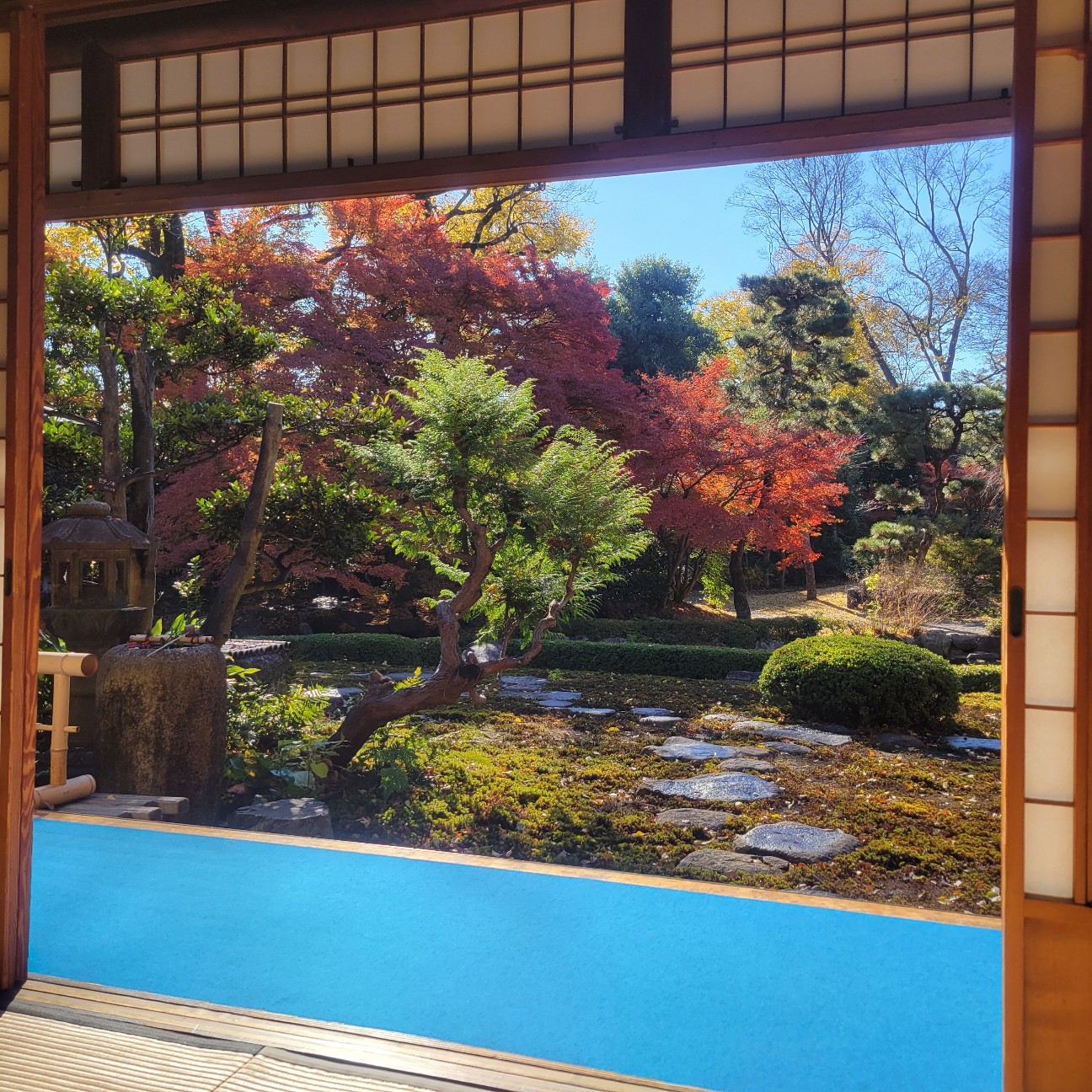 f:id:atoriatoriatori:20260113134146j:image