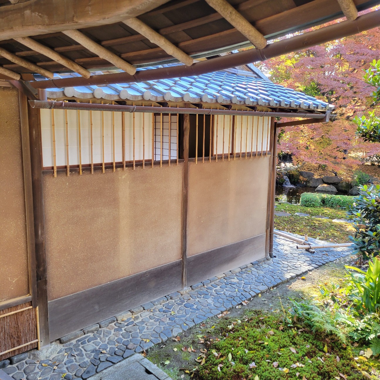 f:id:atoriatoriatori:20260113181448j:image
