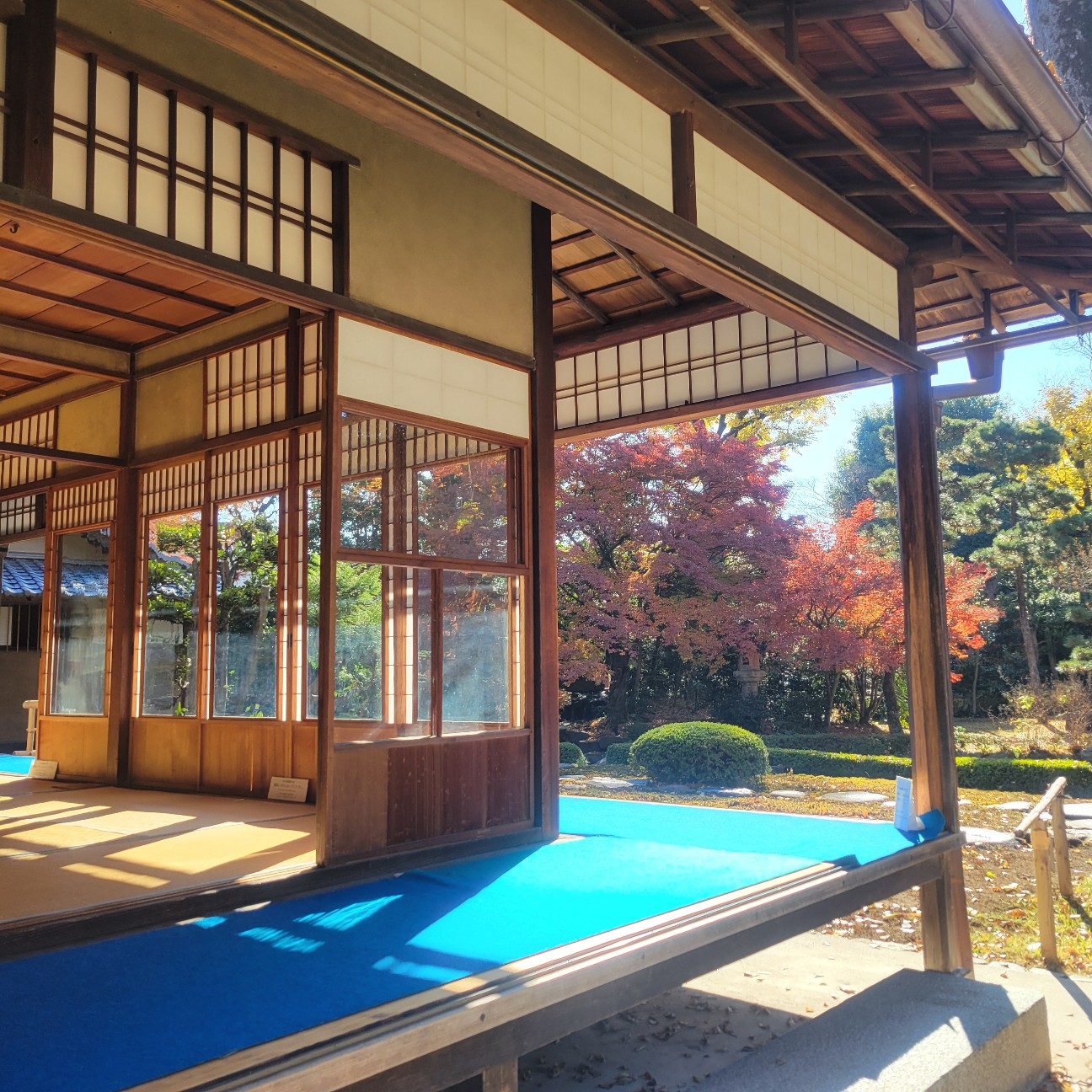 f:id:atoriatoriatori:20260113195744j:image
