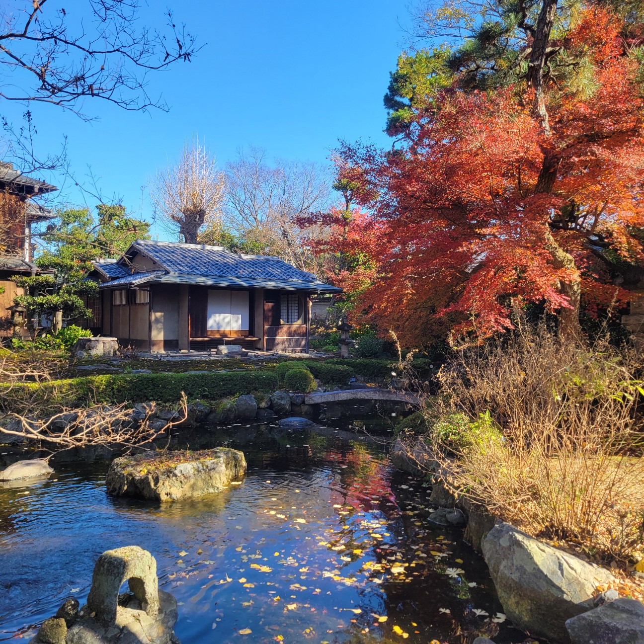 f:id:atoriatoriatori:20260114090045j:image