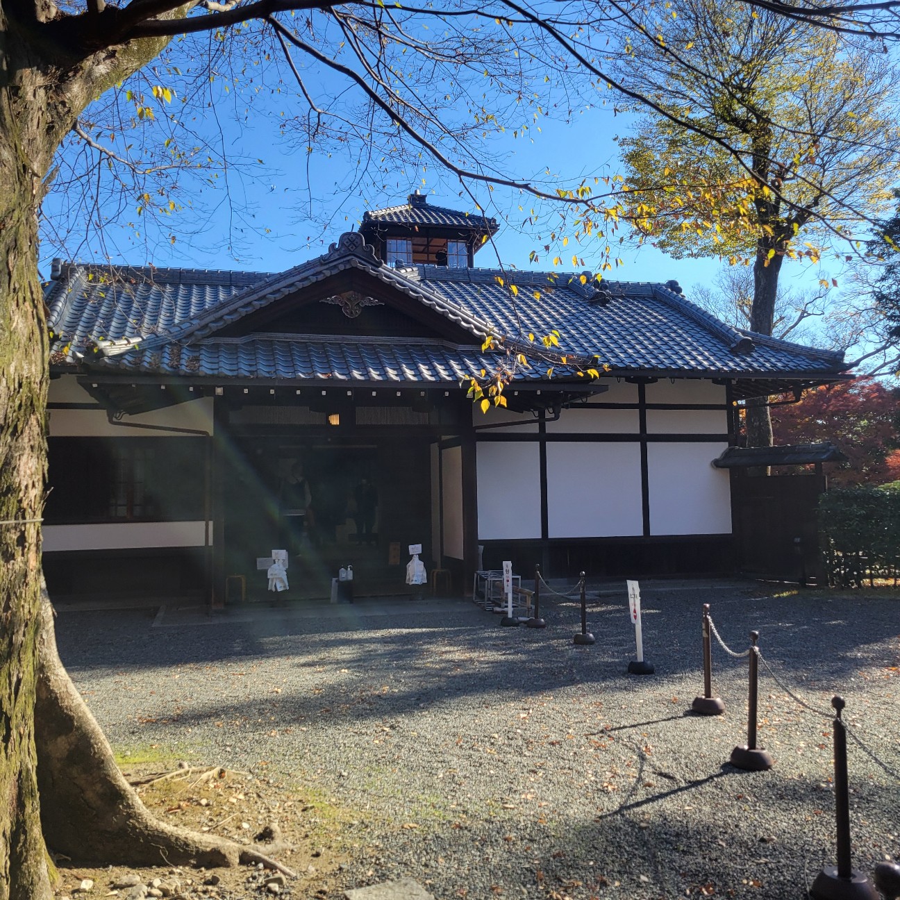f:id:atoriatoriatori:20260114102619j:image