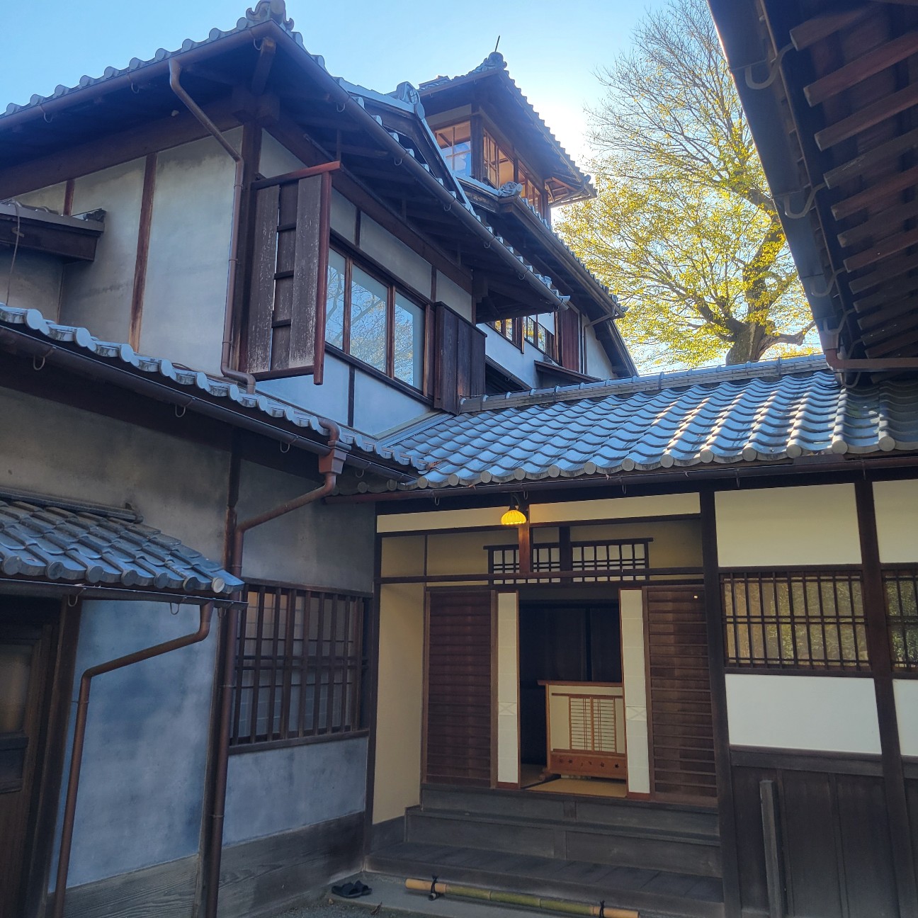 f:id:atoriatoriatori:20260114112858j:image