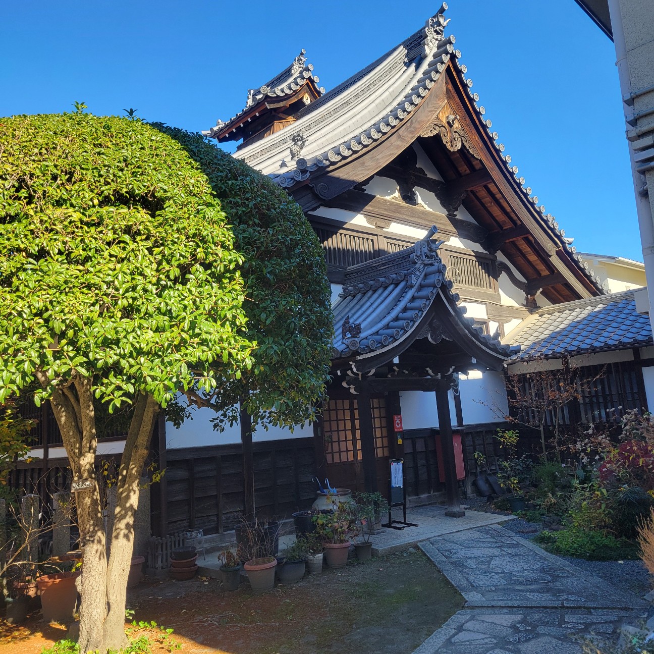 f:id:atoriatoriatori:20260114152531j:image