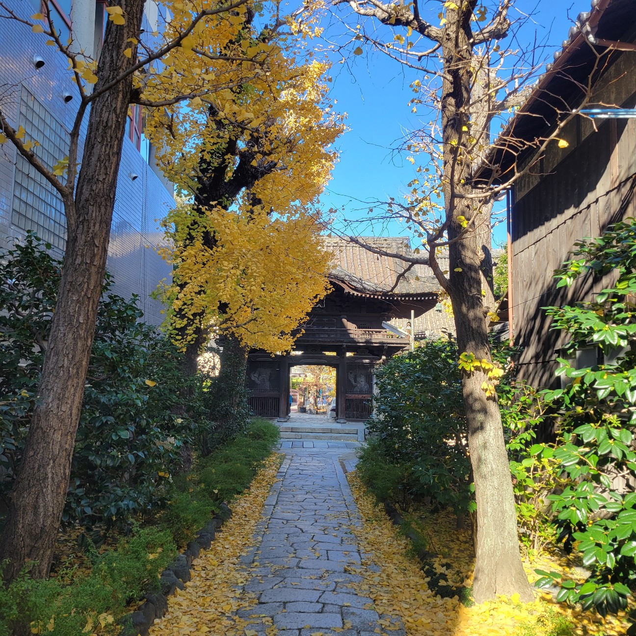 f:id:atoriatoriatori:20260115083719j:image