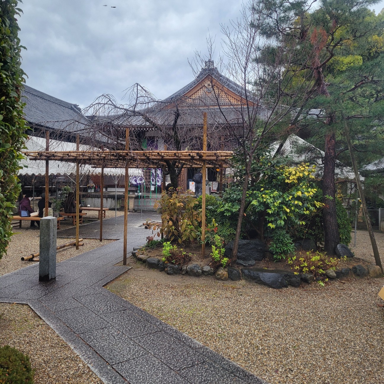 f:id:atoriatoriatori:20260115183601j:image