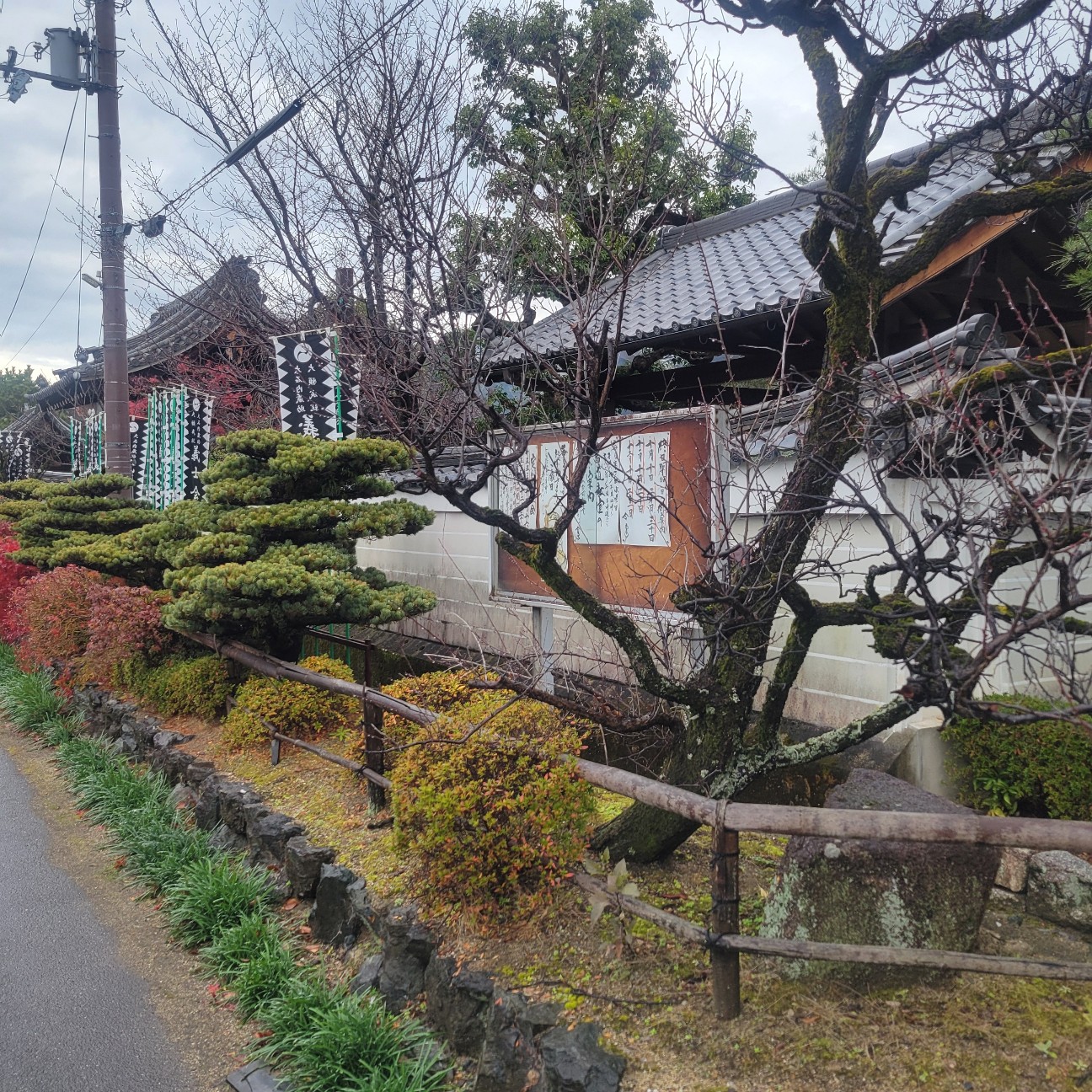 f:id:atoriatoriatori:20260115183918j:image