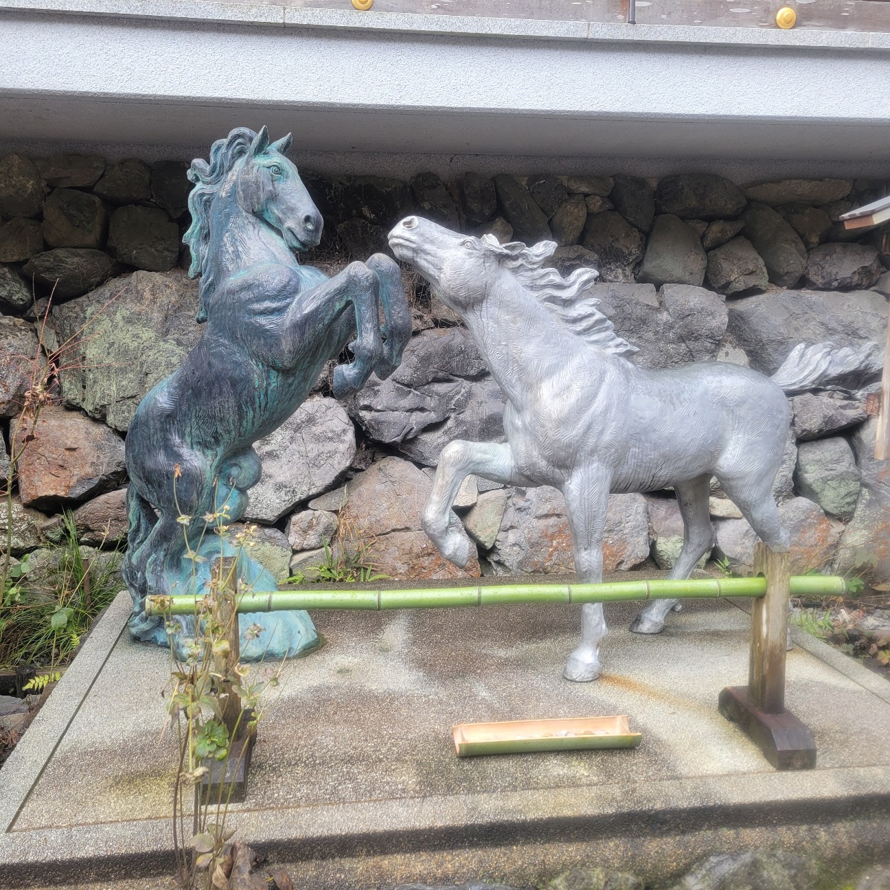 f:id:atoriatoriatori:20260117181628j:image