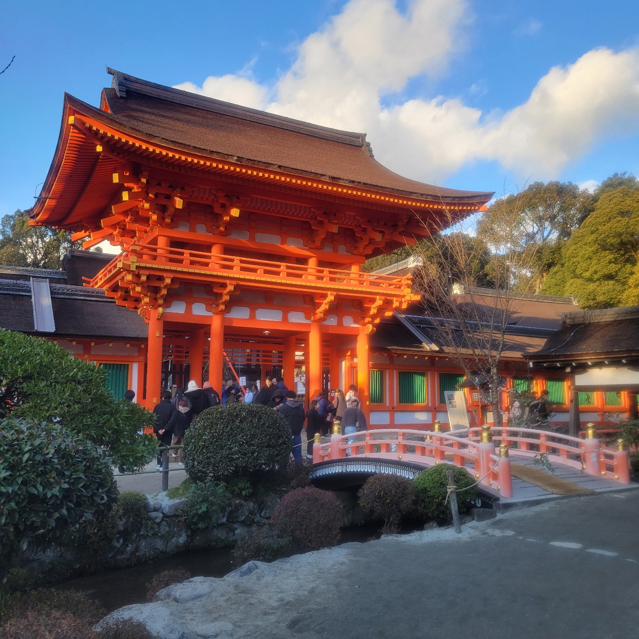 f:id:atoriatoriatori:20260117181650j:image