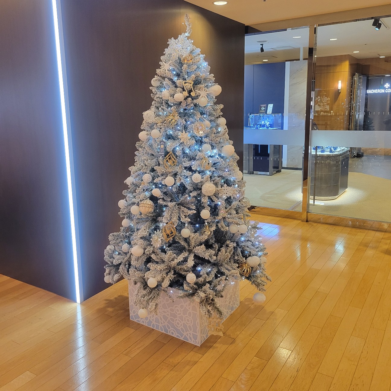 f:id:atoriatoriatori:20260119153252j:image