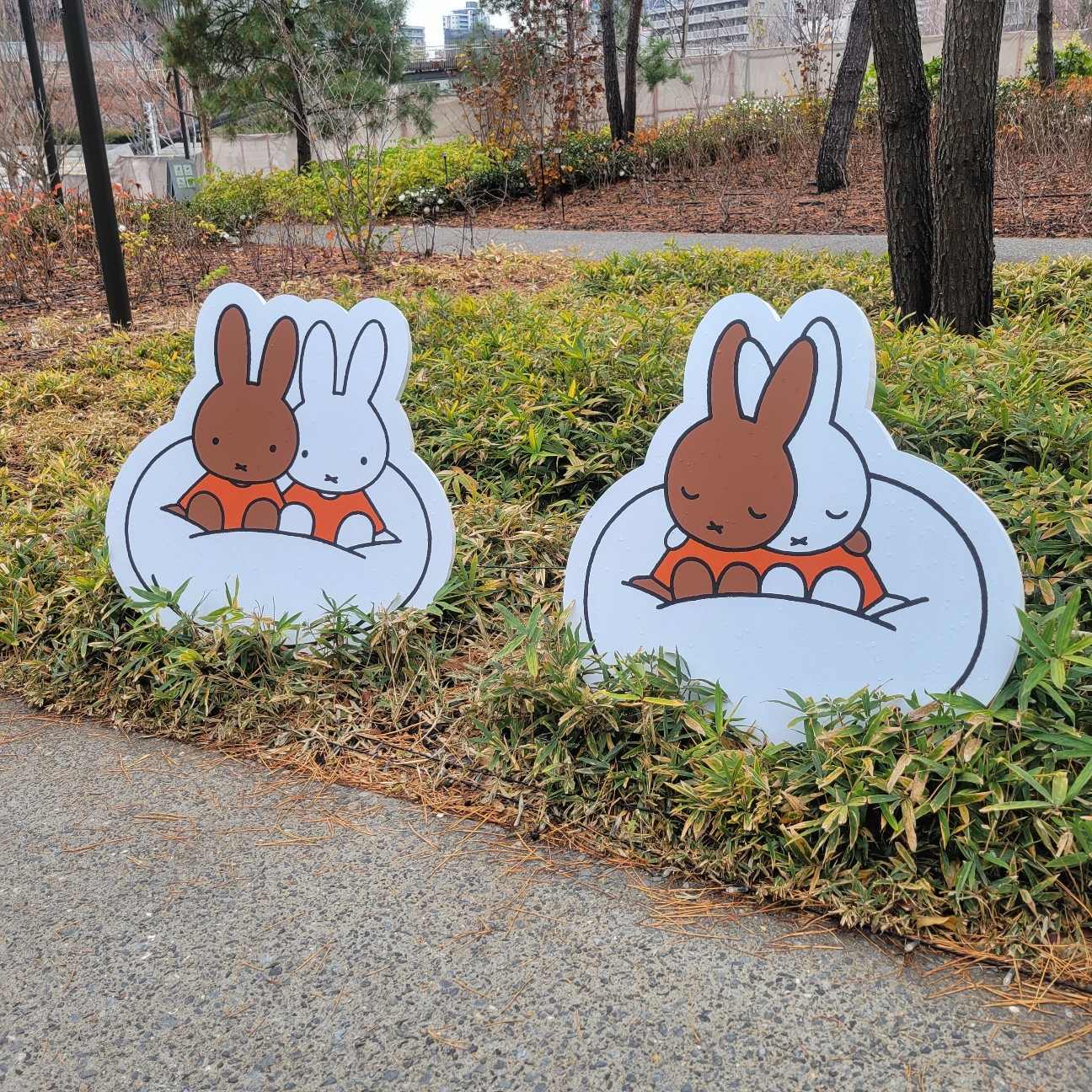 f:id:atoriatoriatori:20260119203948j:image