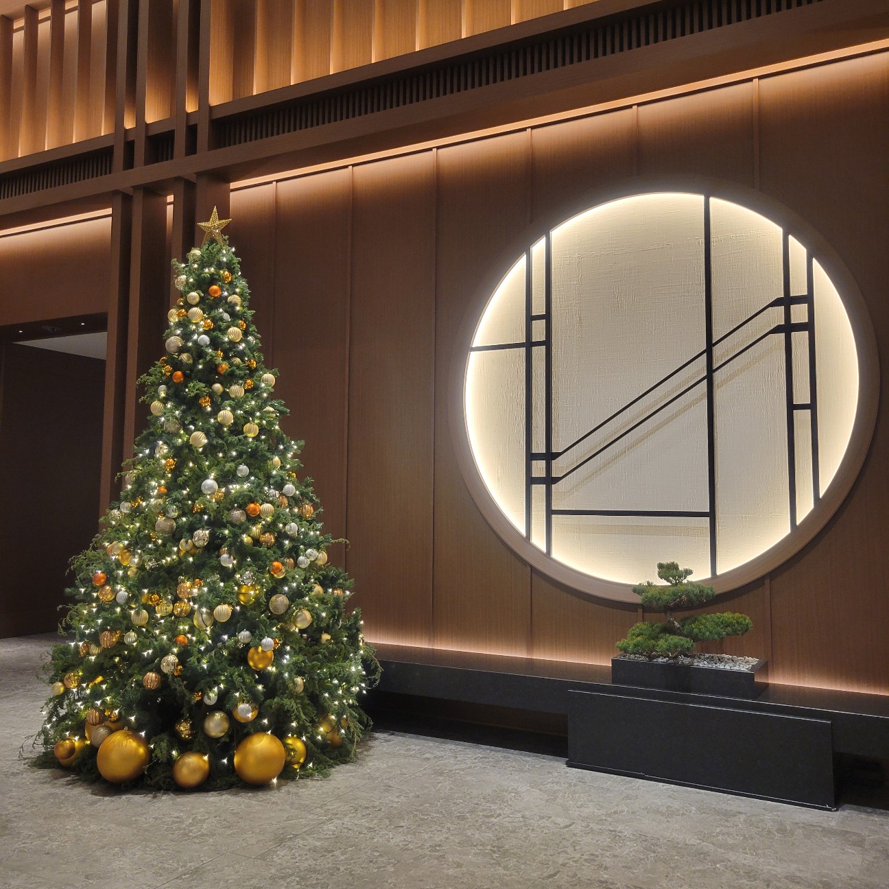 f:id:atoriatoriatori:20260120100324j:image