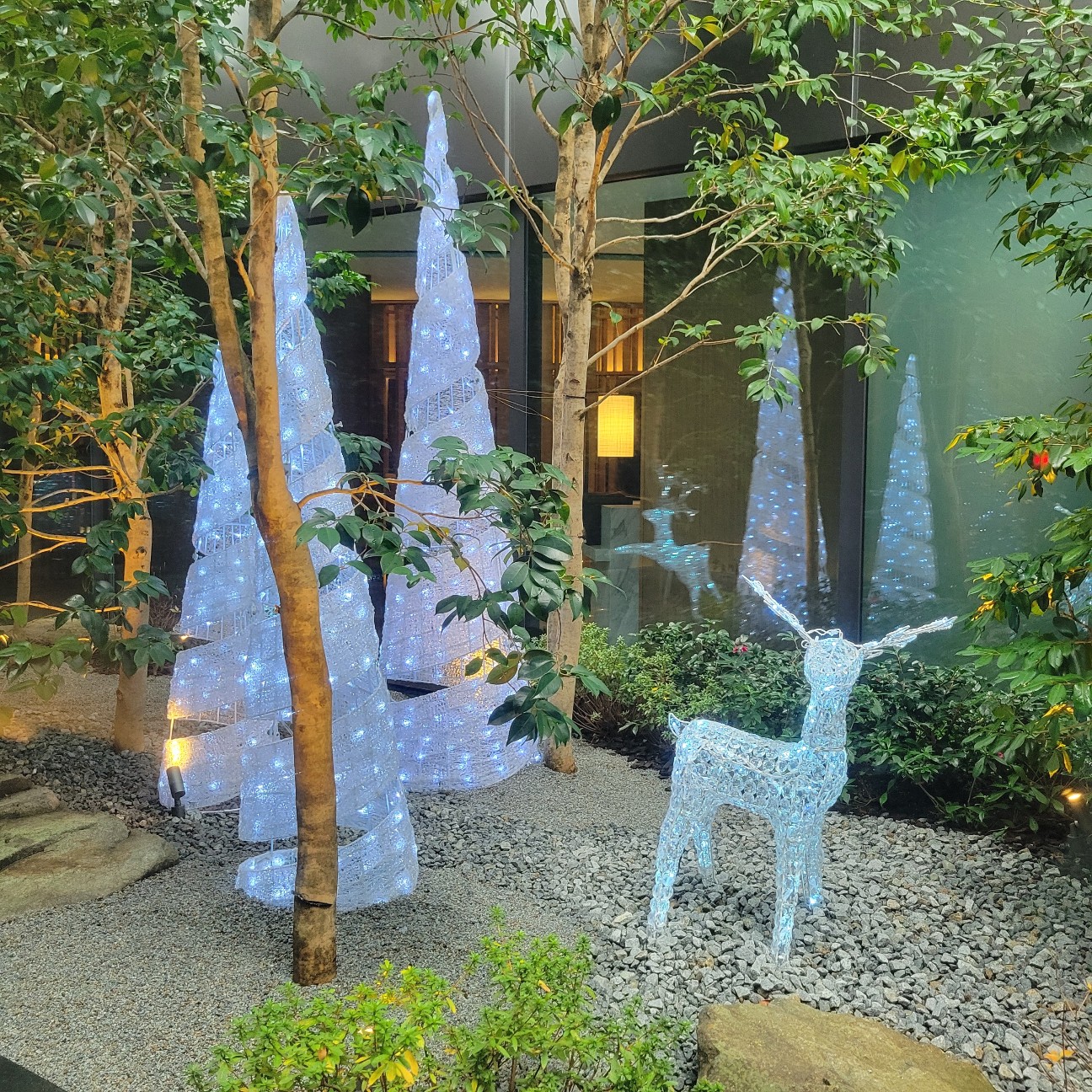 f:id:atoriatoriatori:20260120104728j:image