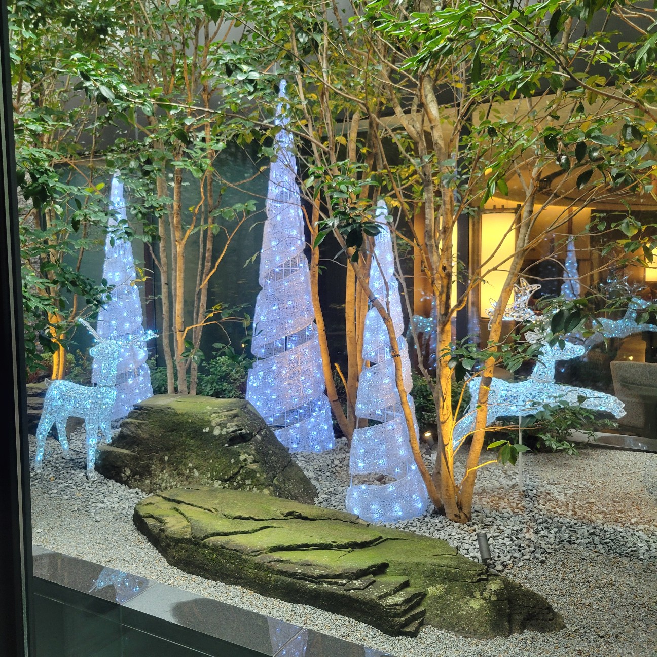 f:id:atoriatoriatori:20260120104737j:image