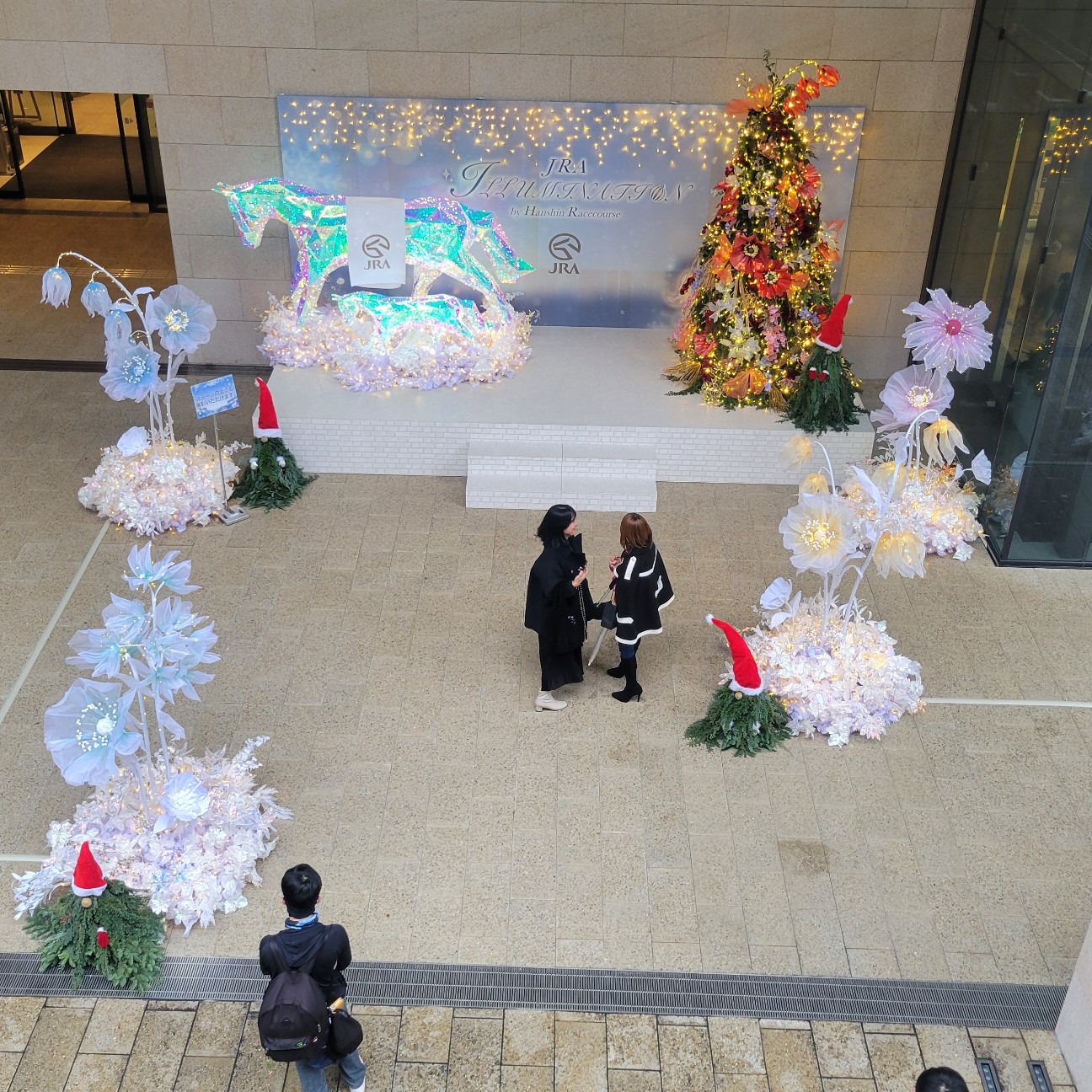 f:id:atoriatoriatori:20260120213406j:image