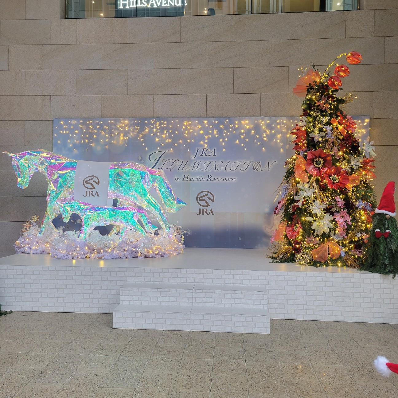 f:id:atoriatoriatori:20260120214000j:image