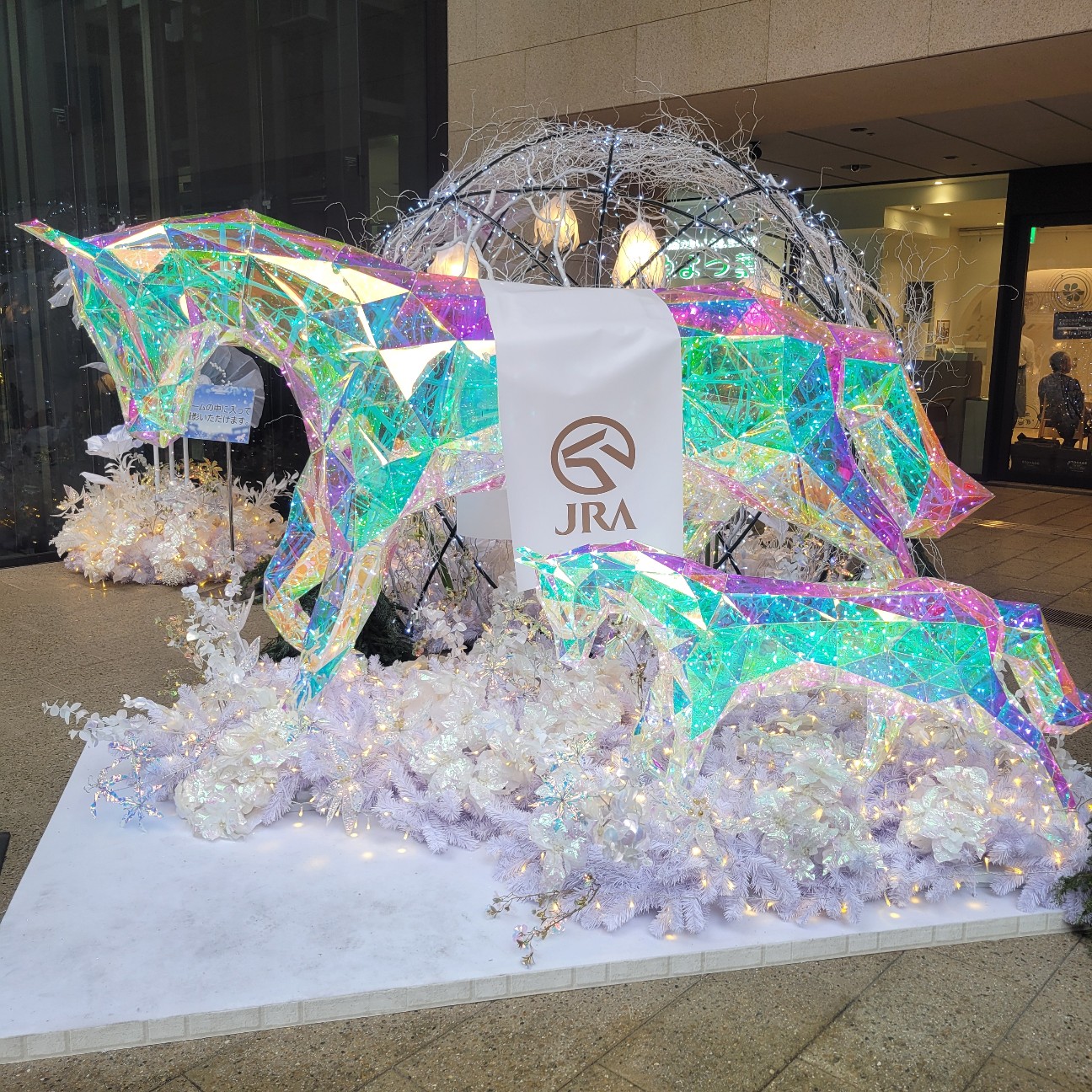 f:id:atoriatoriatori:20260121082609j:image