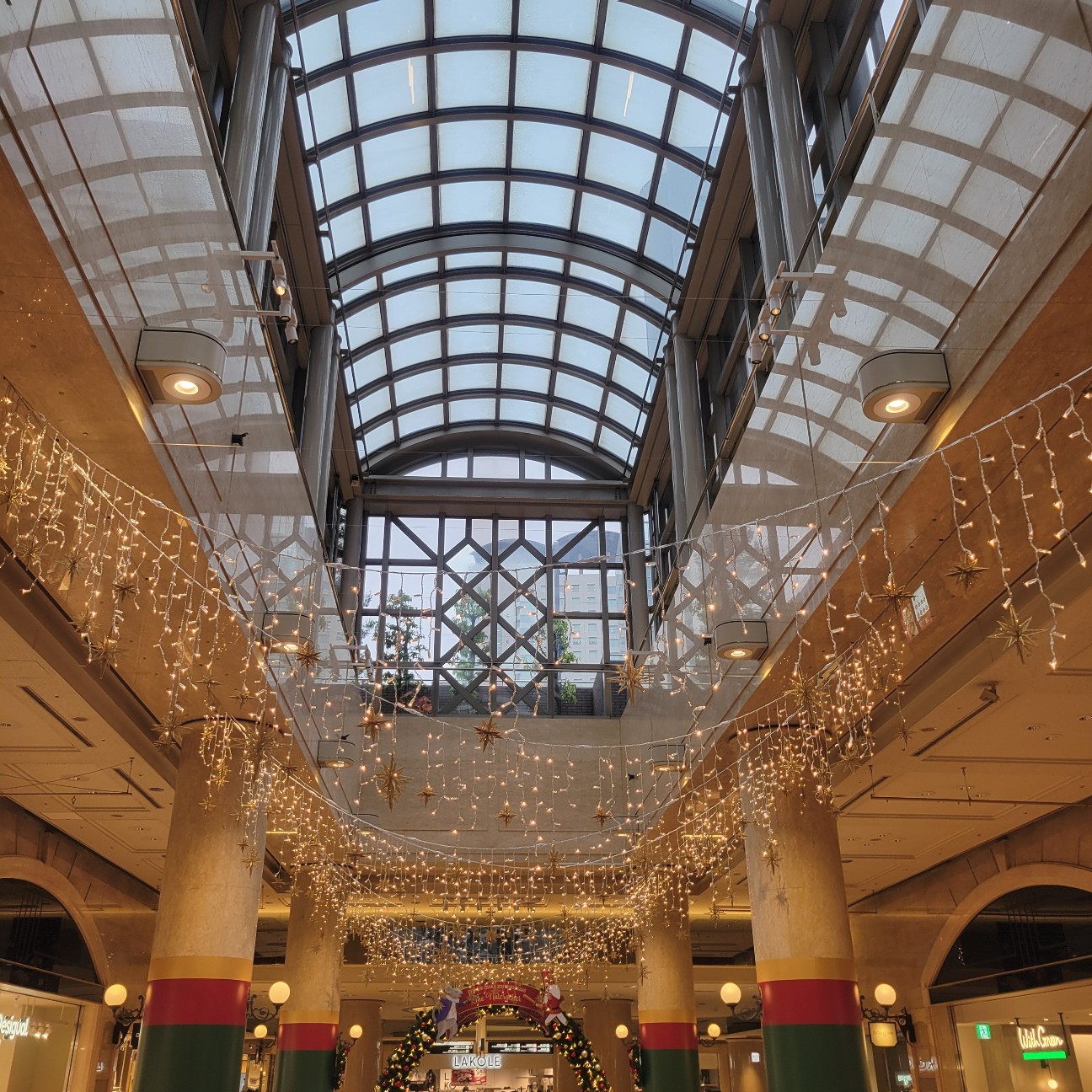 f:id:atoriatoriatori:20260121113853j:image