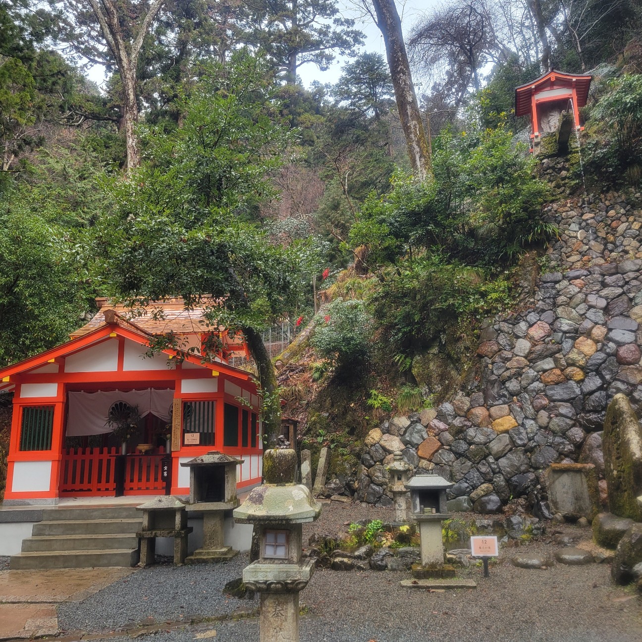 f:id:atoriatoriatori:20260123082952j:image