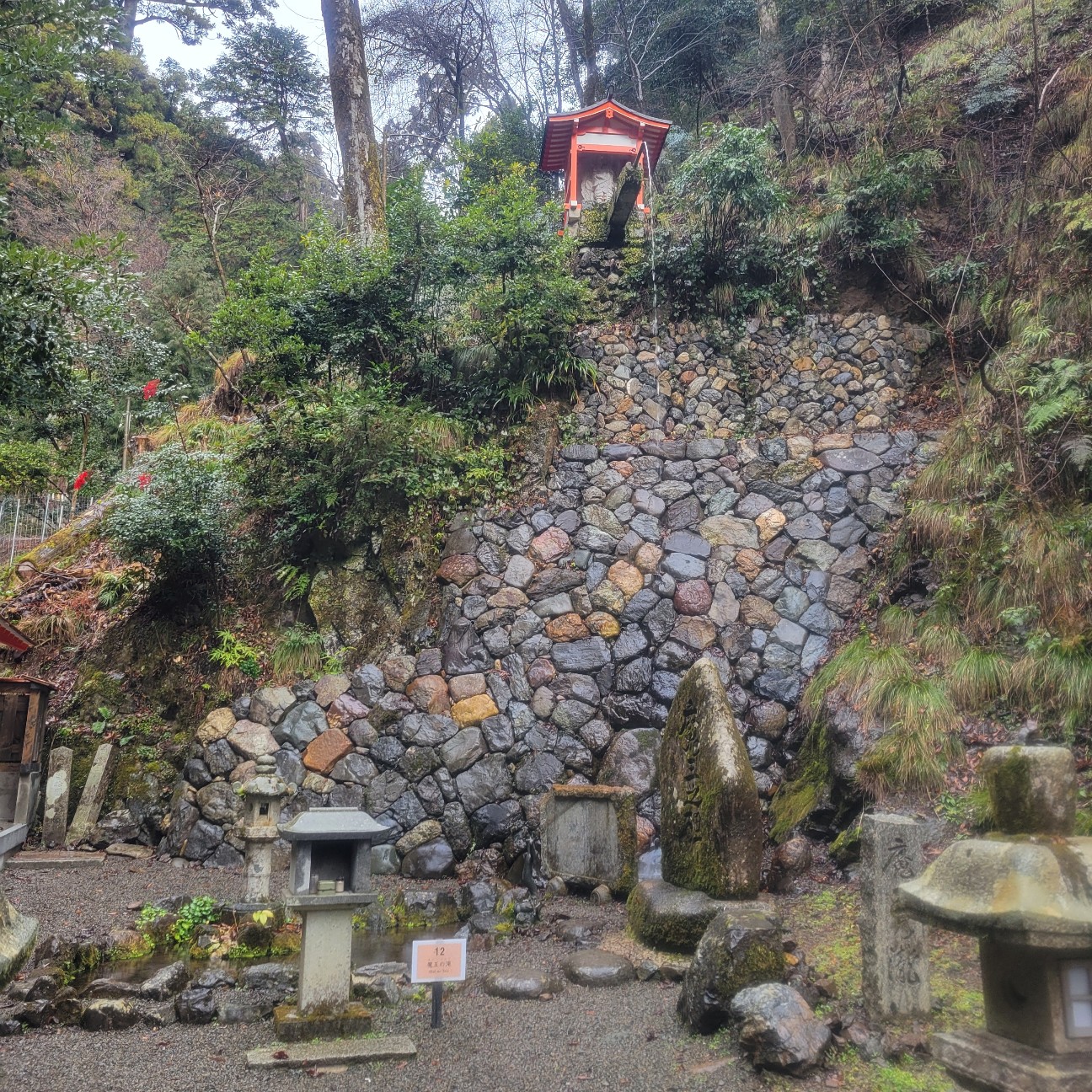 f:id:atoriatoriatori:20260123083454j:image