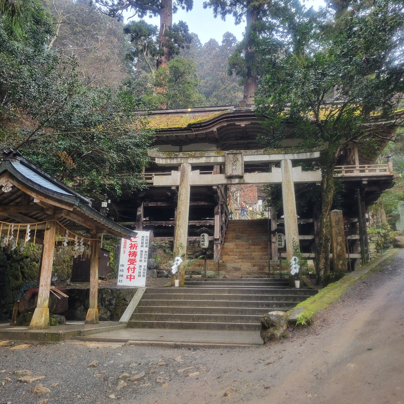 f:id:atoriatoriatori:20260123084131j:image
