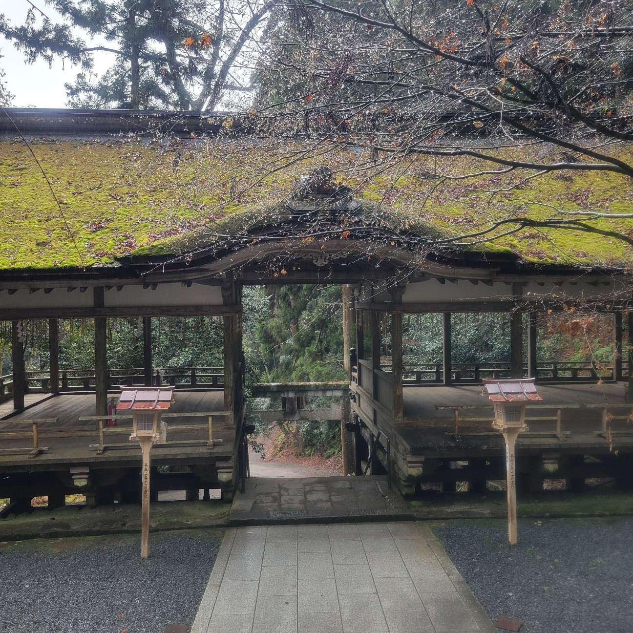 f:id:atoriatoriatori:20260123084200j:image