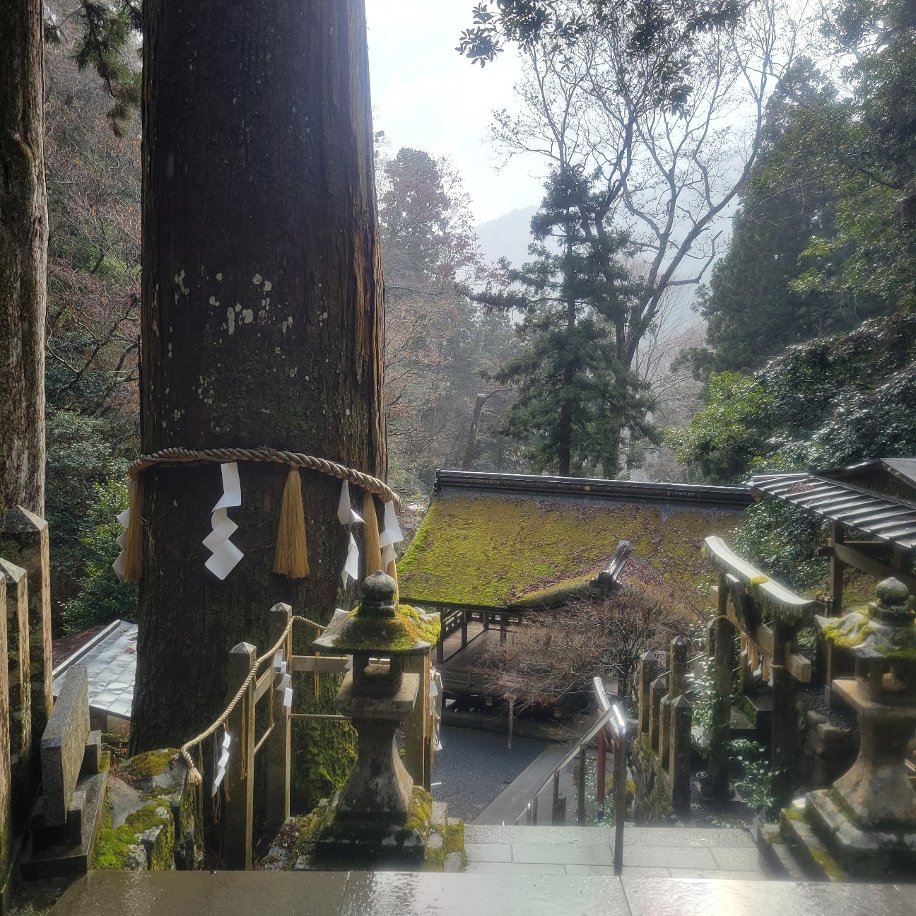 f:id:atoriatoriatori:20260123084247j:image
