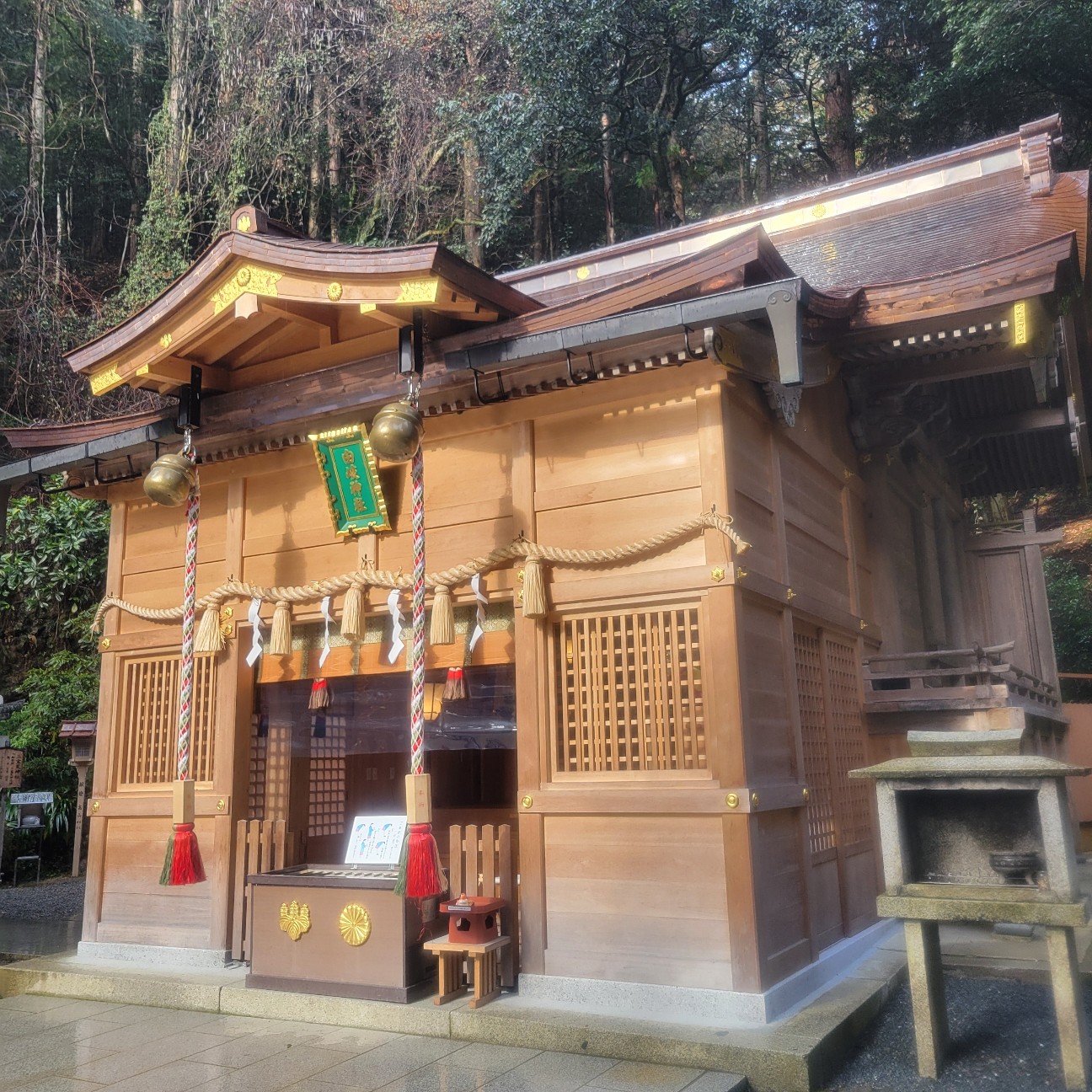 f:id:atoriatoriatori:20260123084303j:image