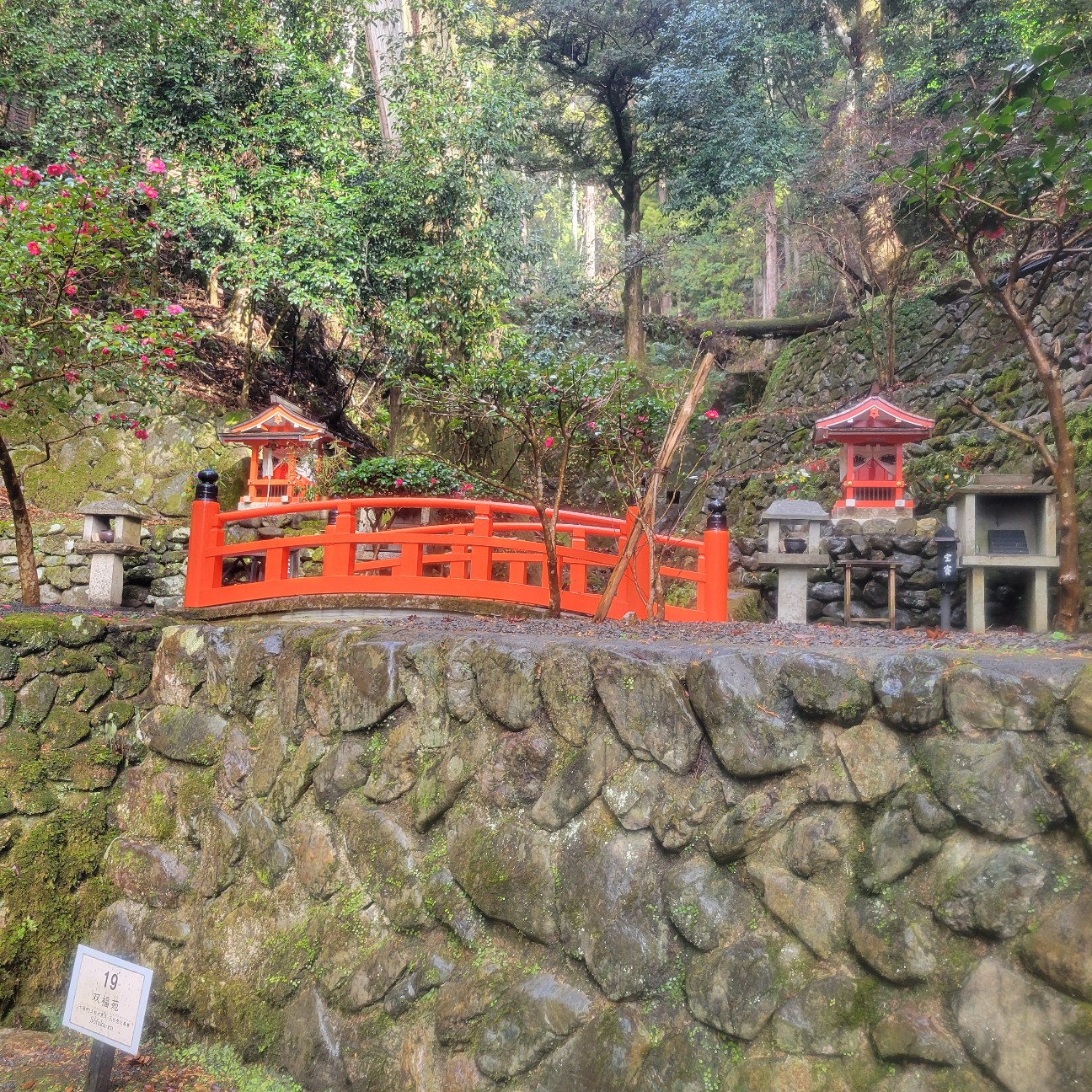 f:id:atoriatoriatori:20260123092536j:image