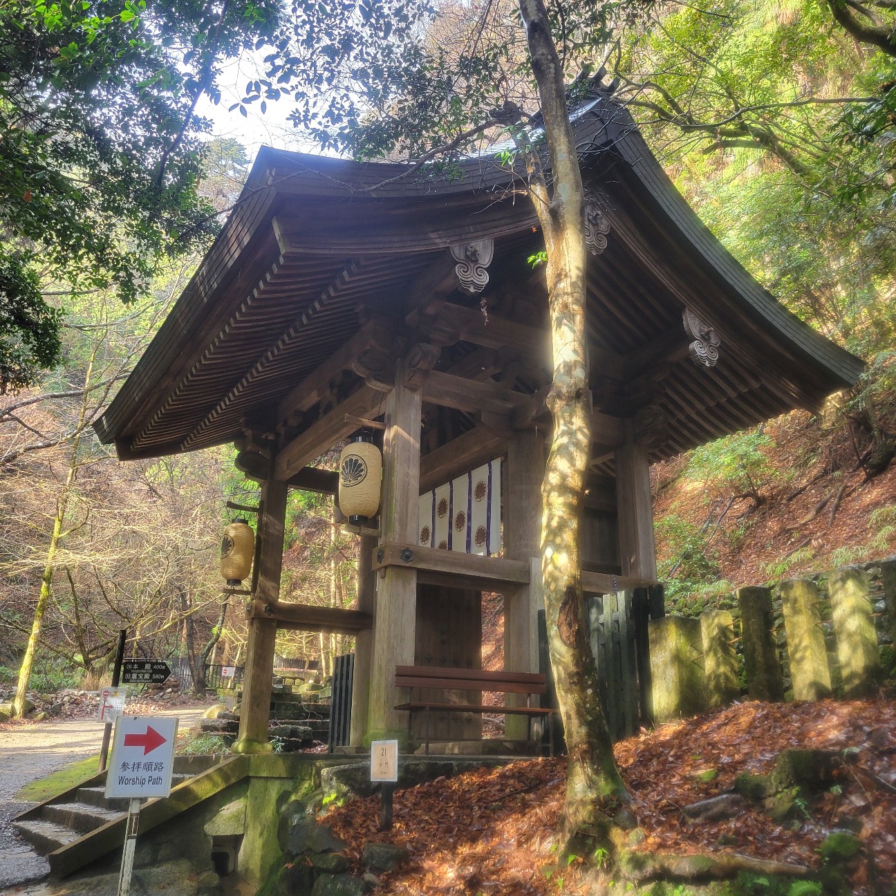 f:id:atoriatoriatori:20260123092633j:image