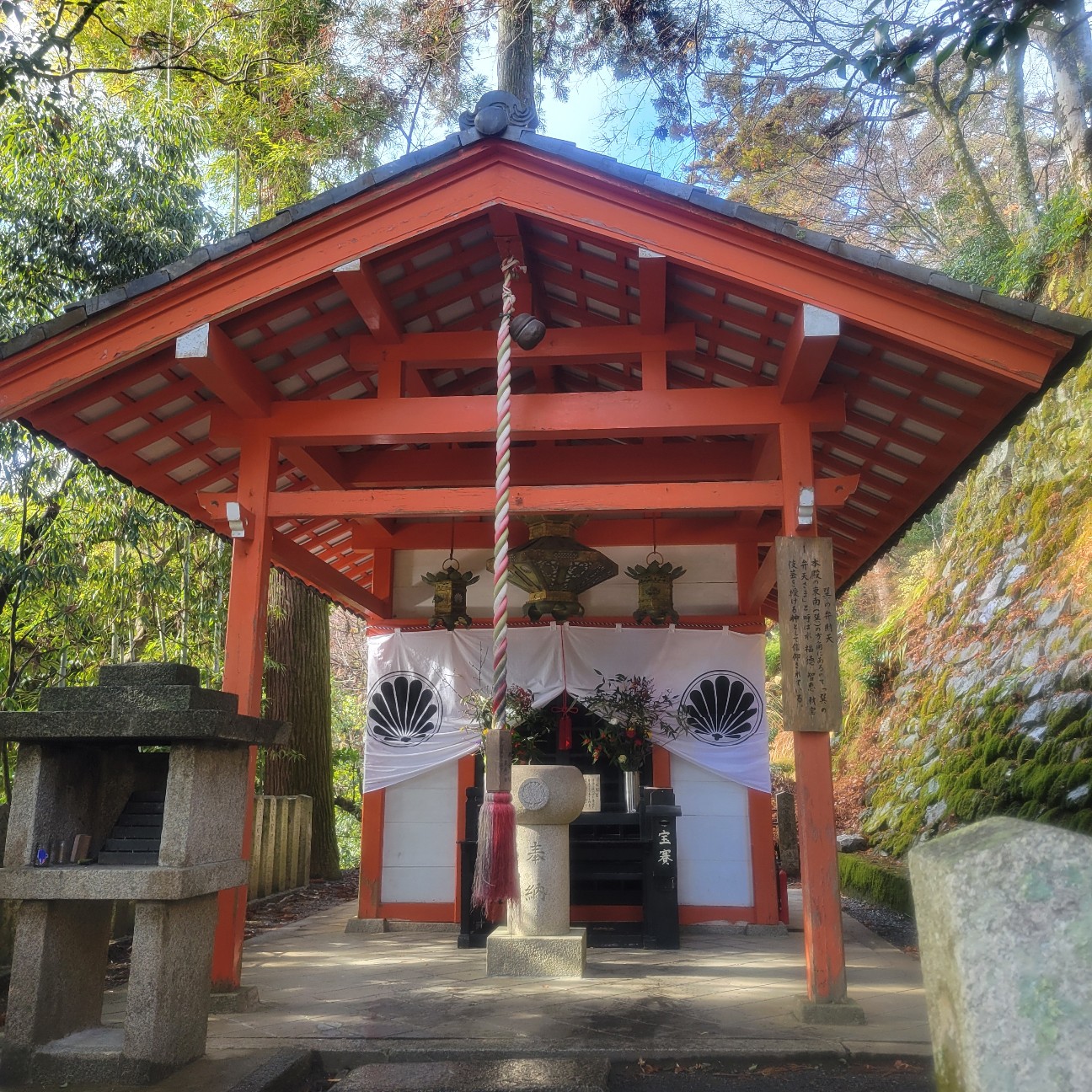 f:id:atoriatoriatori:20260123092813j:image