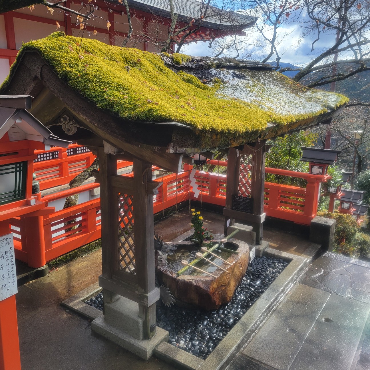 f:id:atoriatoriatori:20260123093043j:image