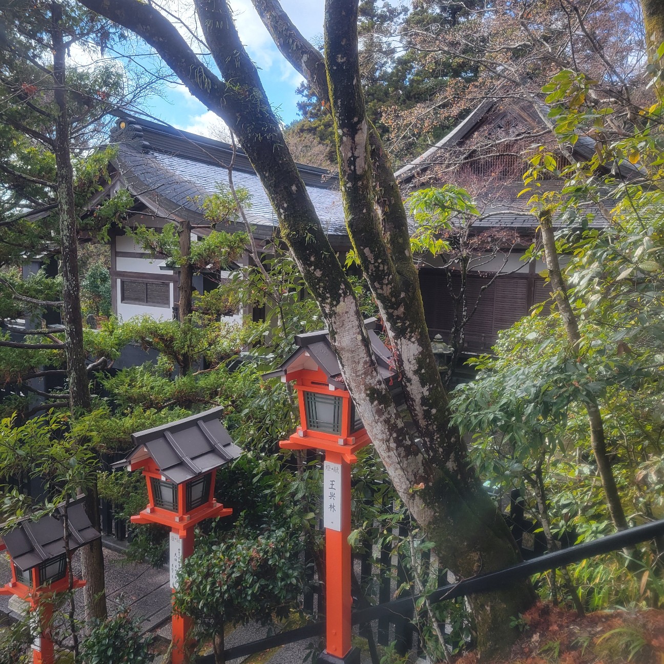 f:id:atoriatoriatori:20260123093054j:image