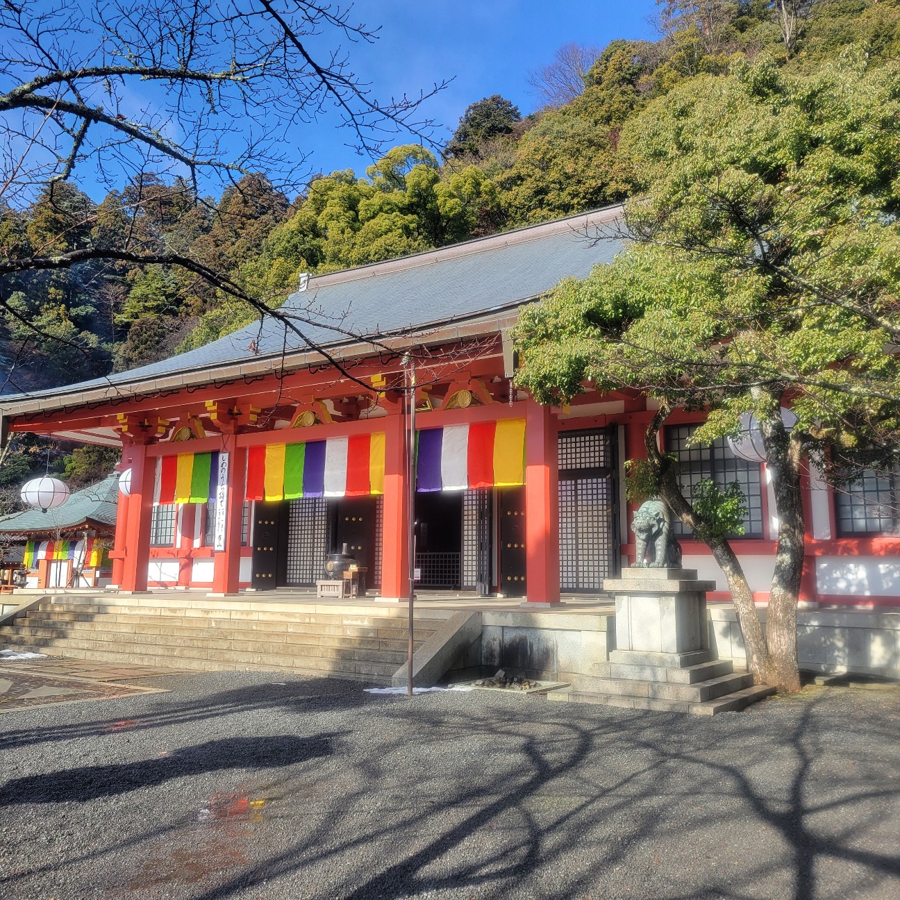 f:id:atoriatoriatori:20260123094419j:image