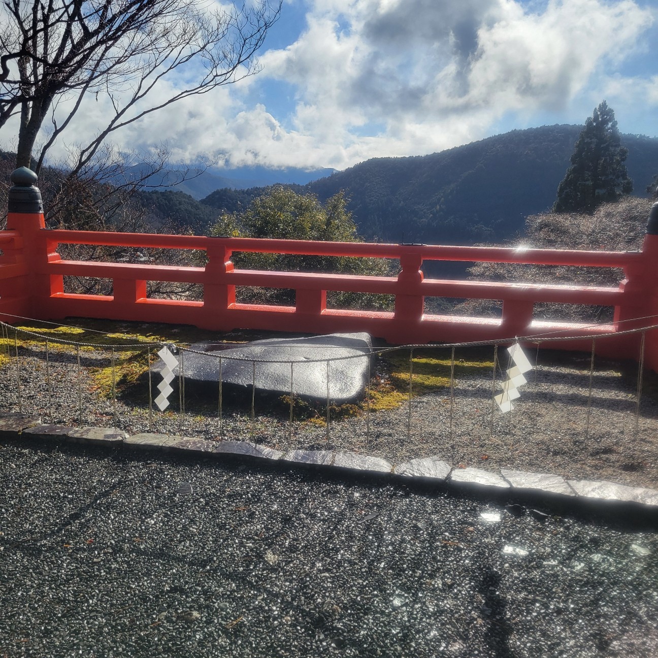 f:id:atoriatoriatori:20260123094431j:image