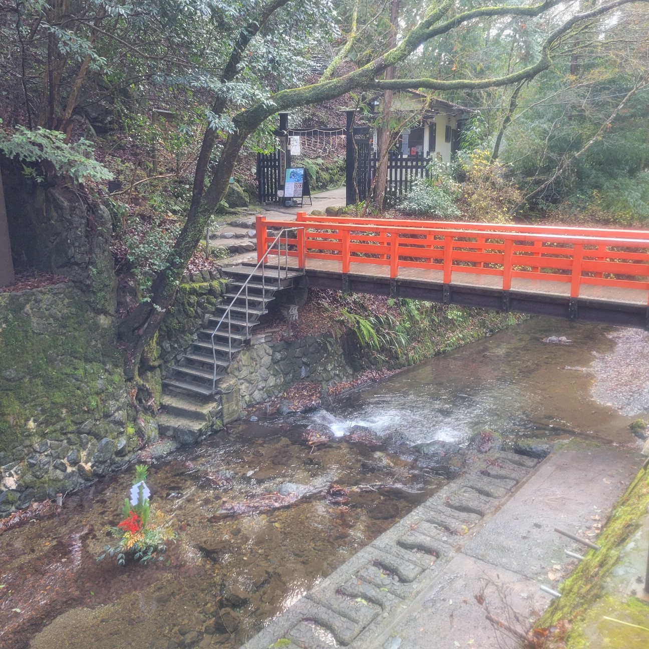 f:id:atoriatoriatori:20260126093847j:image
