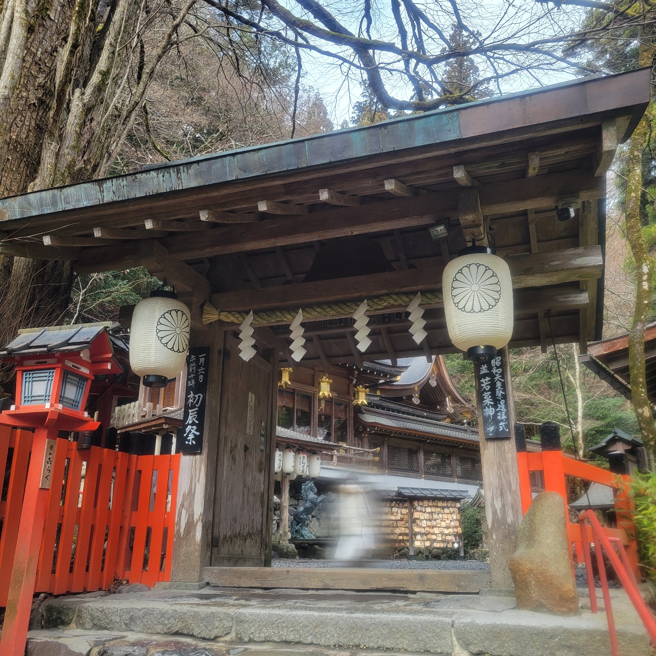 f:id:atoriatoriatori:20260126113704j:image