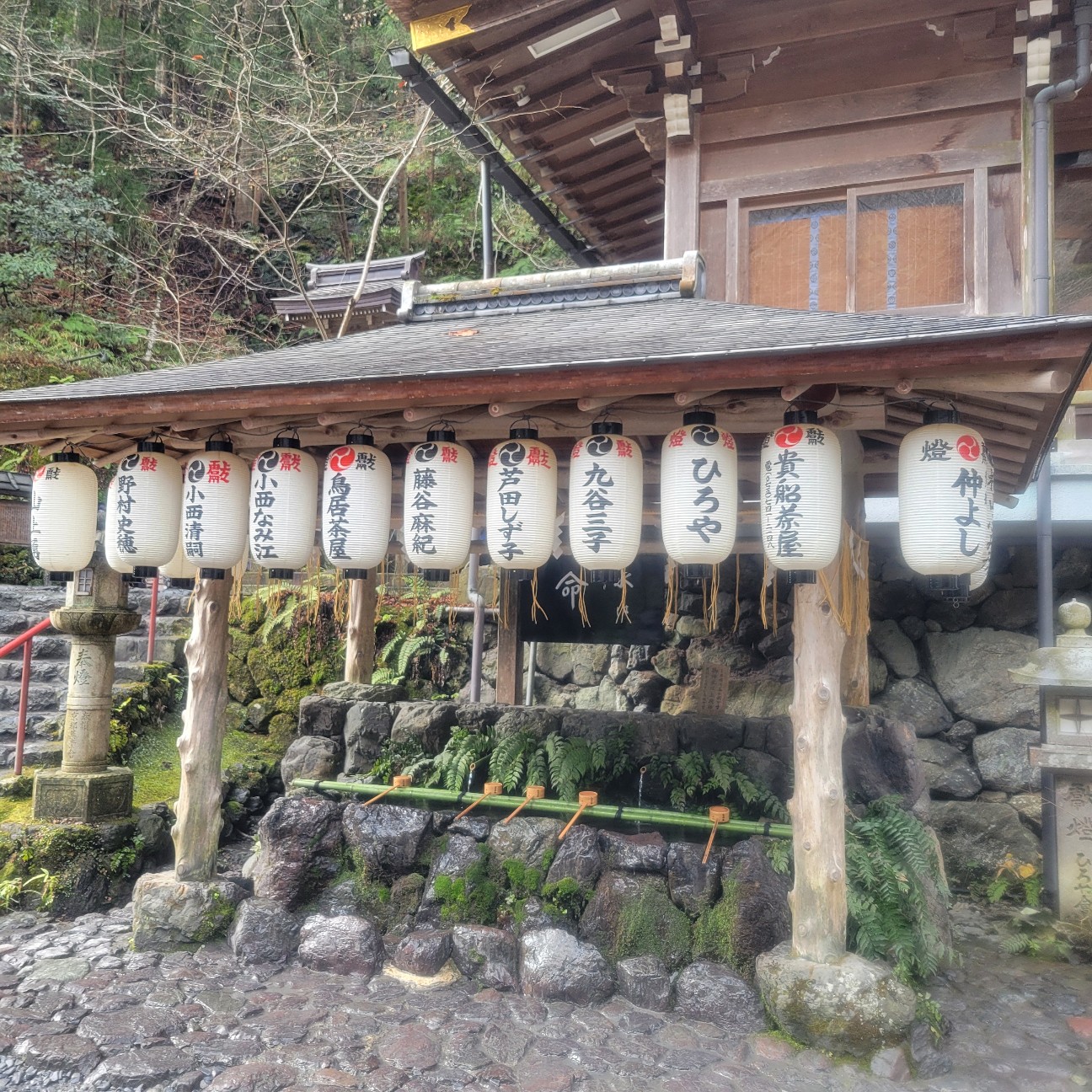 f:id:atoriatoriatori:20260126114048j:image